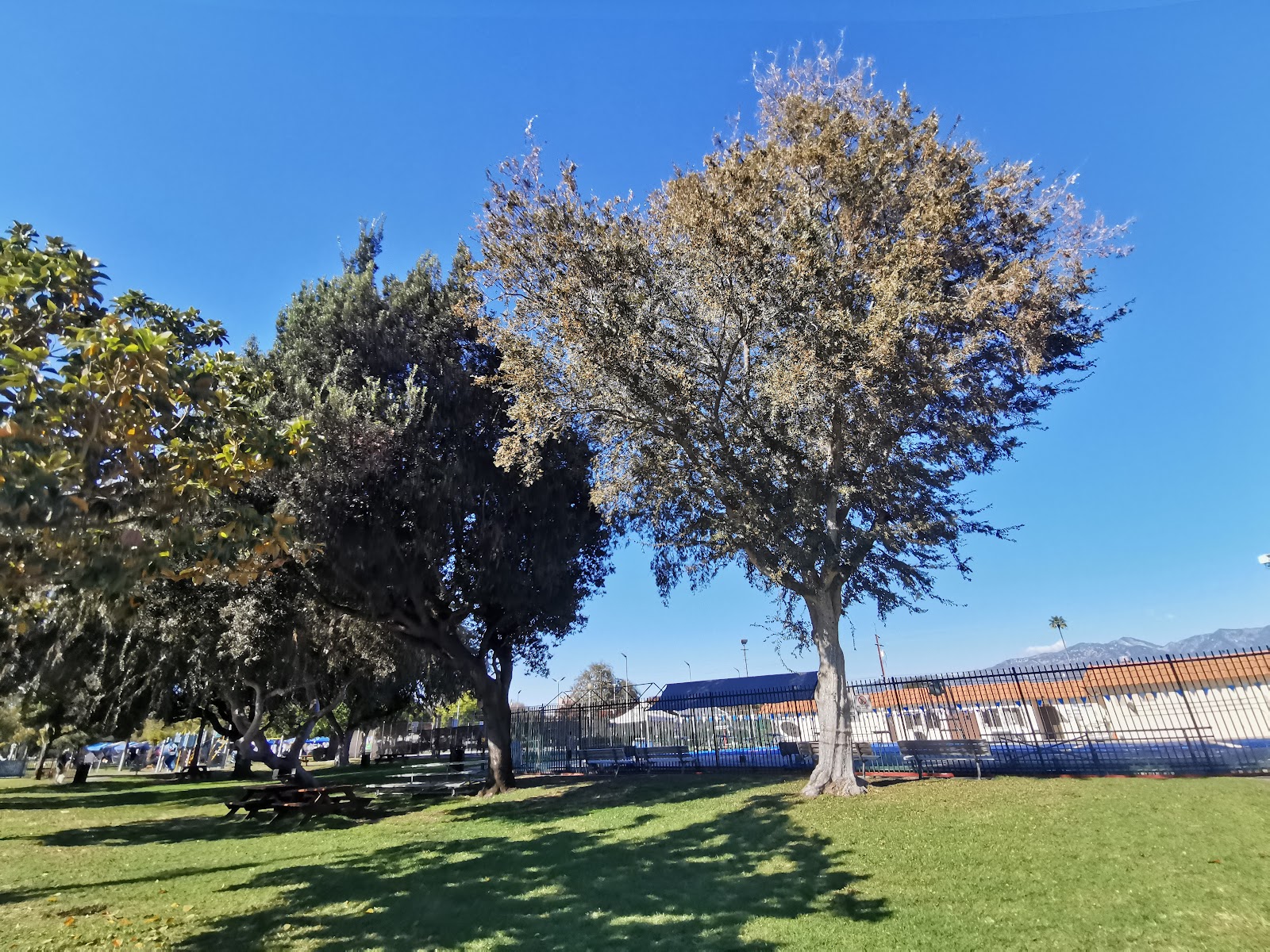 leetx-google-photo-48658-5 leetx-google-photo-48658-5