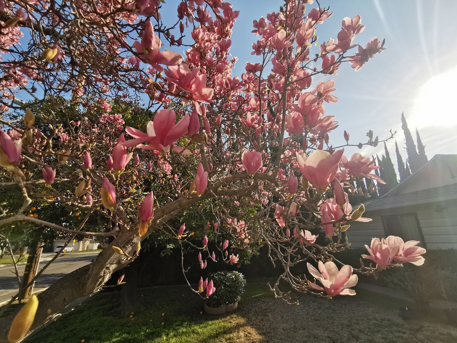 leetx-google-photo-48658-6 leetx-google-photo-48658-6