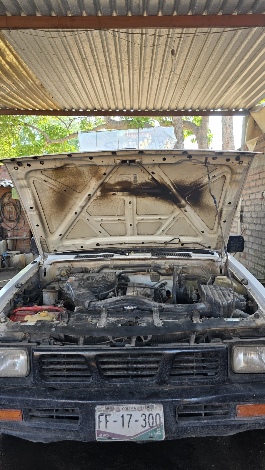 leetx-google-photo-48727-7 leetx-google-photo-48727-7