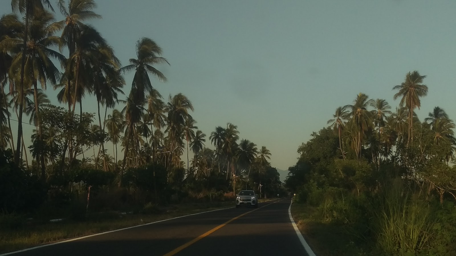 leetx-google-photo-48835-3 leetx-google-photo-48835-3