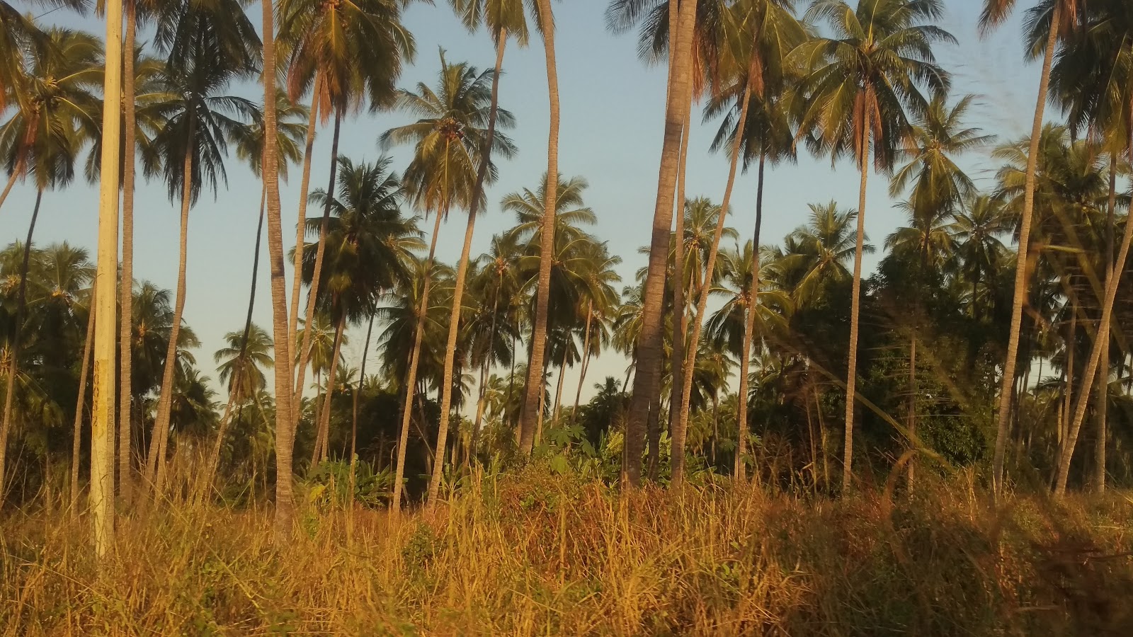 leetx-google-photo-48835-6 leetx-google-photo-48835-6