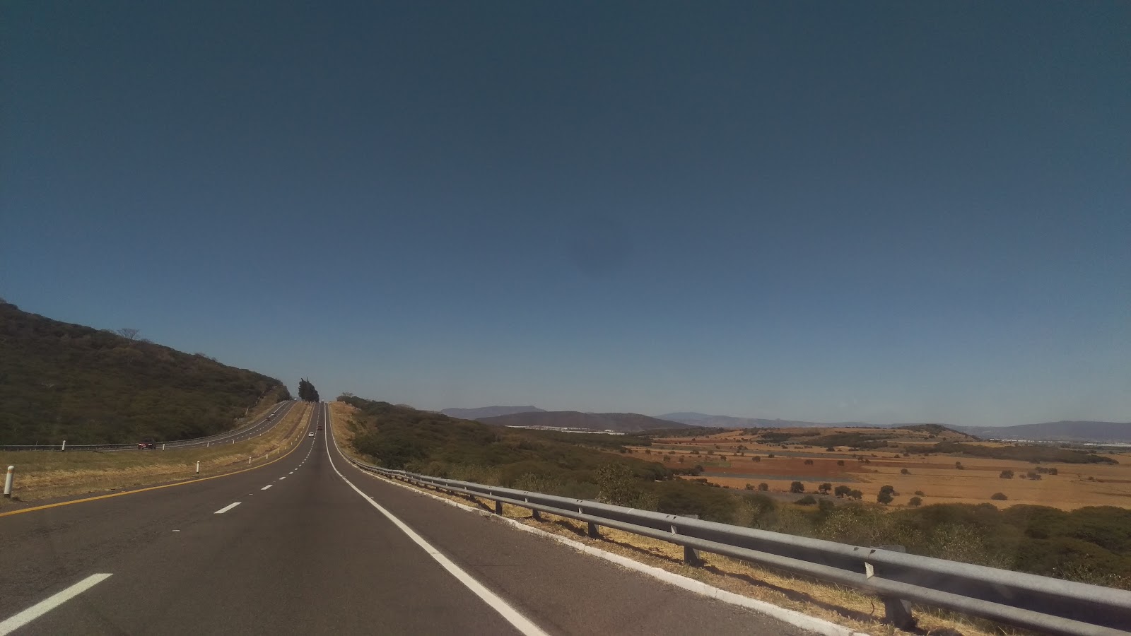 leetx-google-photo-48835-8 leetx-google-photo-48835-8