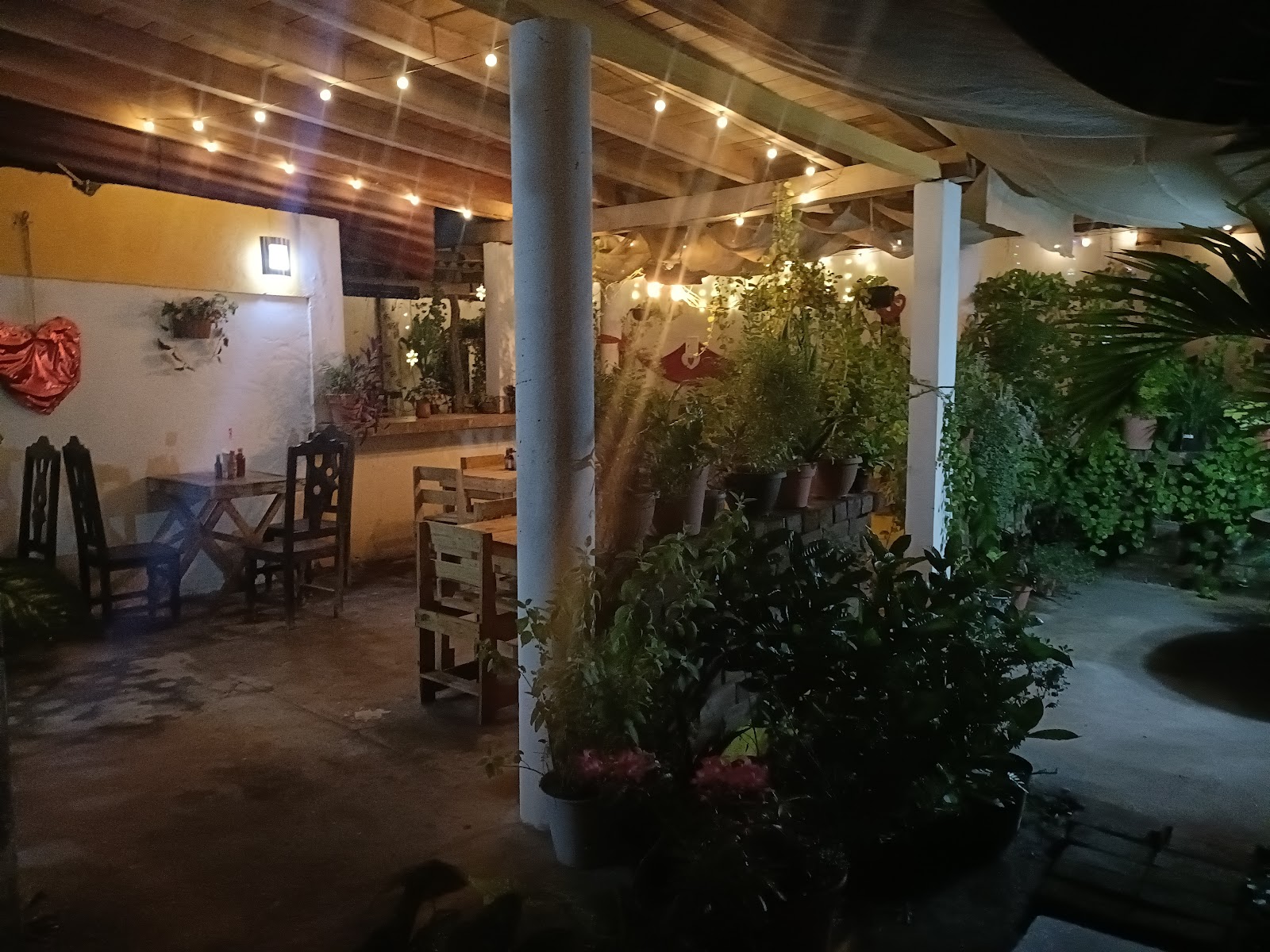 leetx-google-photo-48869-3 leetx-google-photo-48869-3