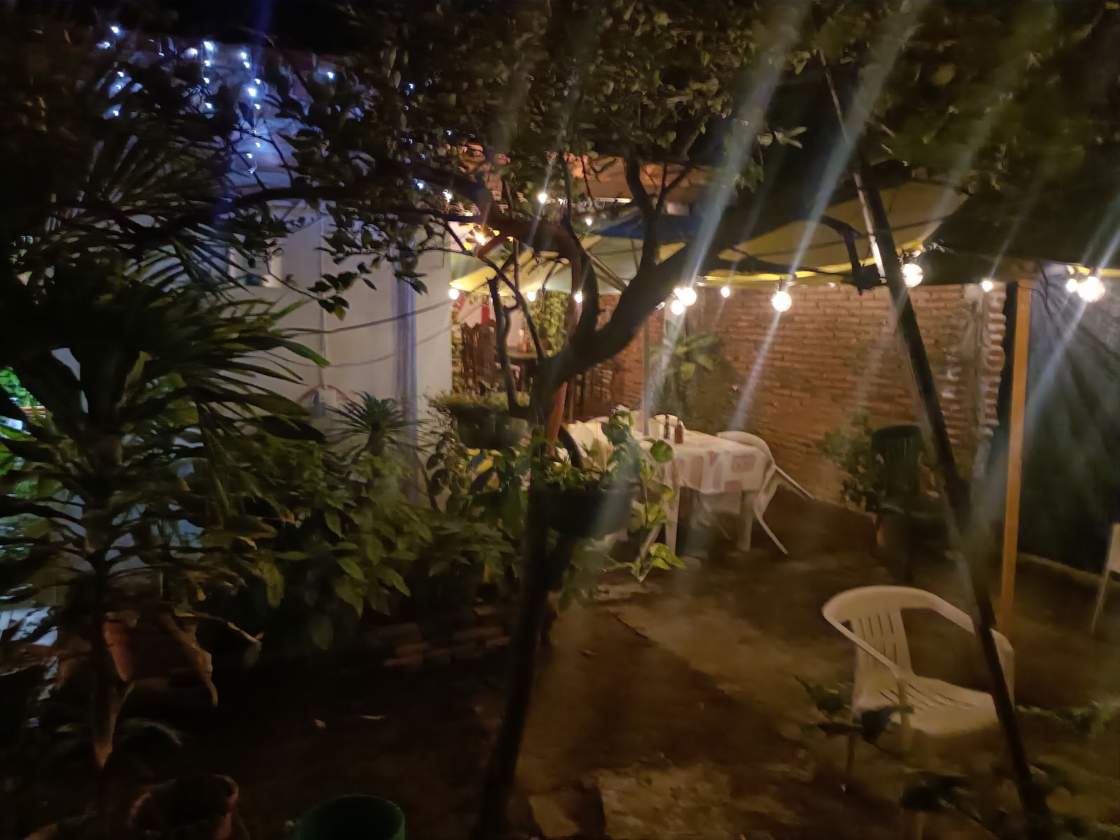 leetx-google-photo-48869-6 leetx-google-photo-48869-6