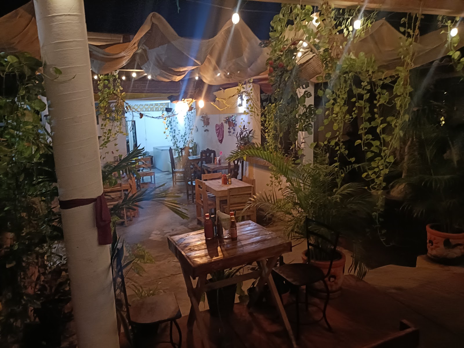 leetx-google-photo-48869-8 leetx-google-photo-48869-8