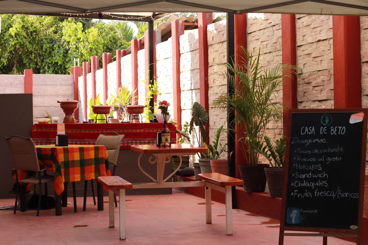 leetx-google-photo-48899-4 leetx-google-photo-48899-4