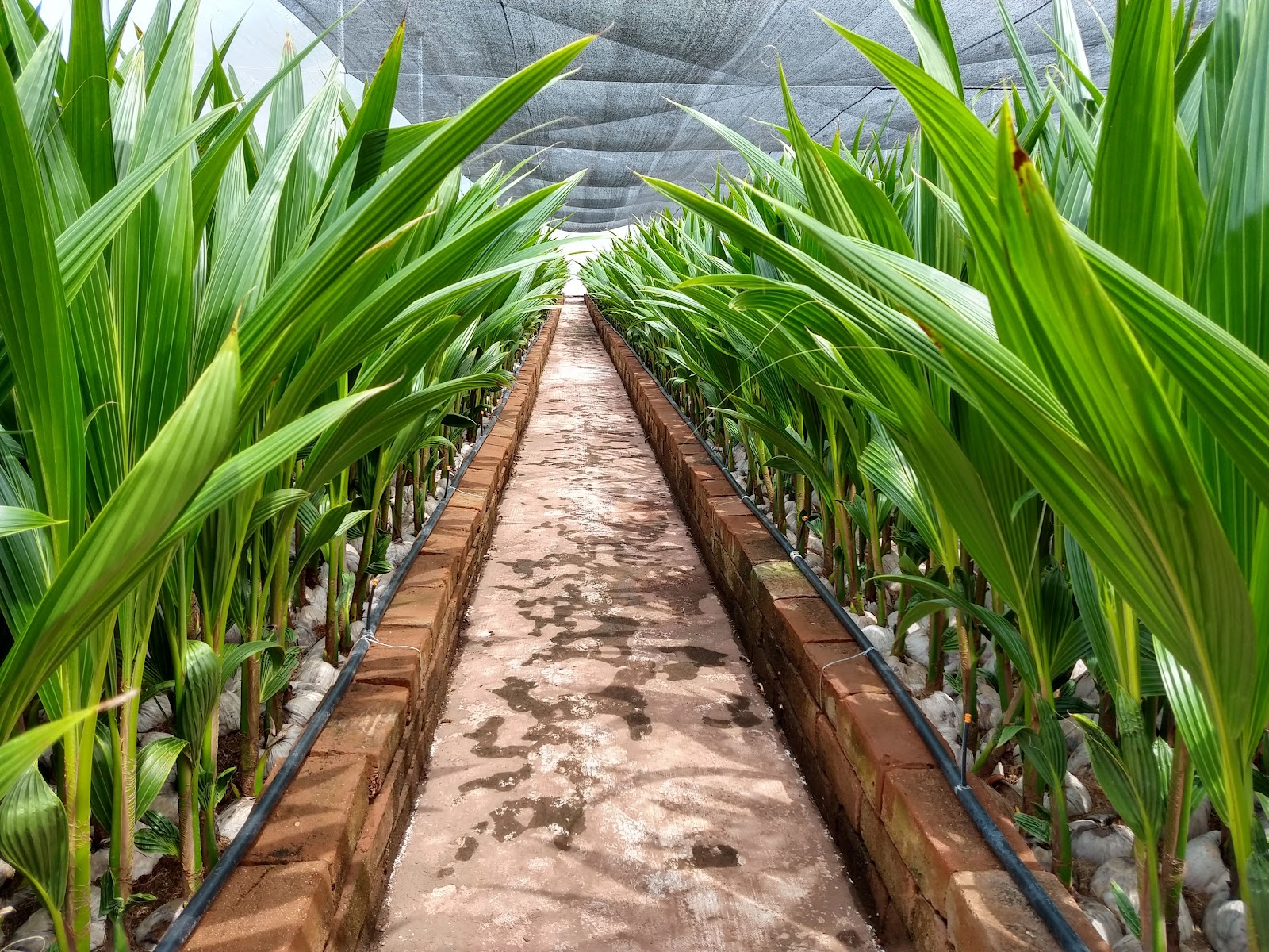 leetx-google-photo-49094-1