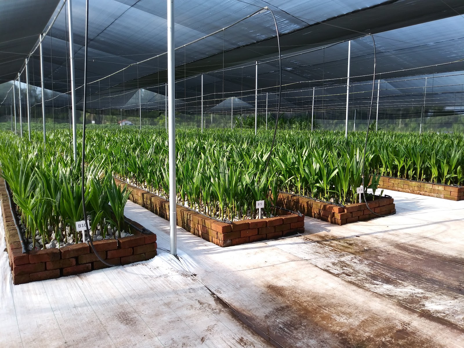 leetx-google-photo-49094-4 leetx-google-photo-49094-4