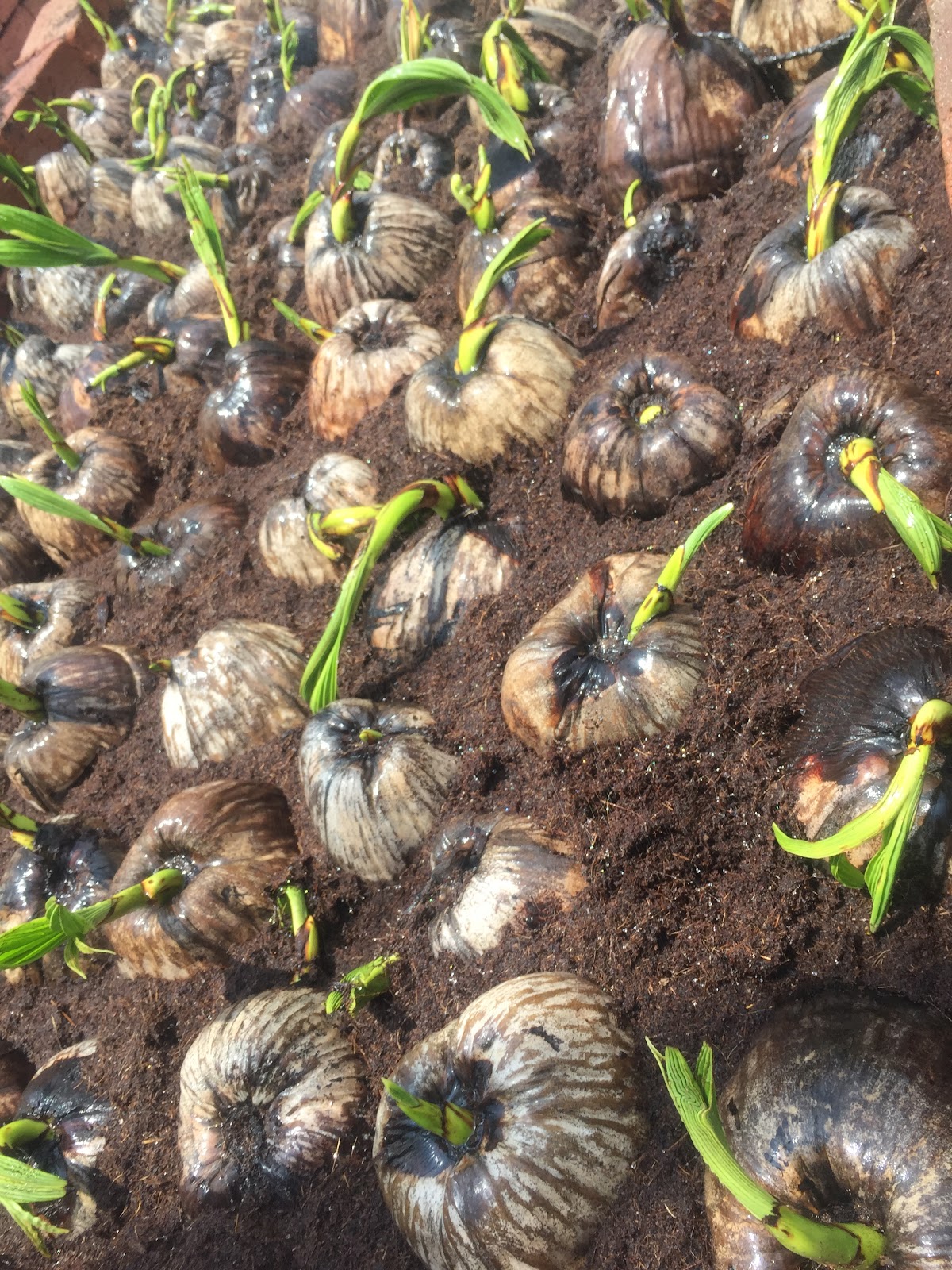 leetx-google-photo-49095-6 leetx-google-photo-49095-6