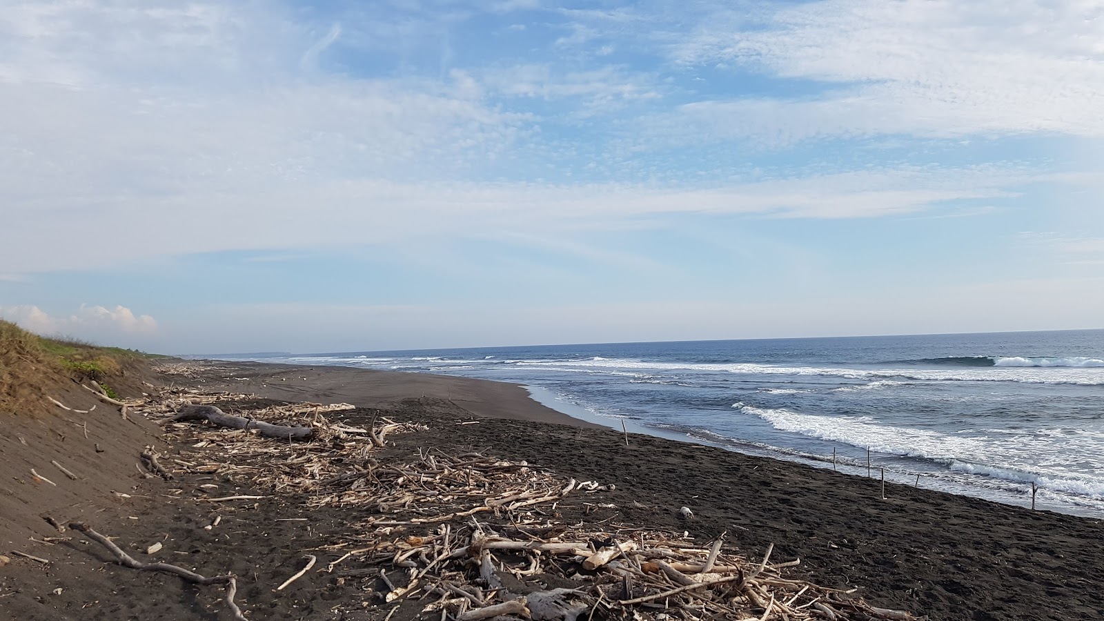 leetx-google-photo-49148-5 leetx-google-photo-49148-5