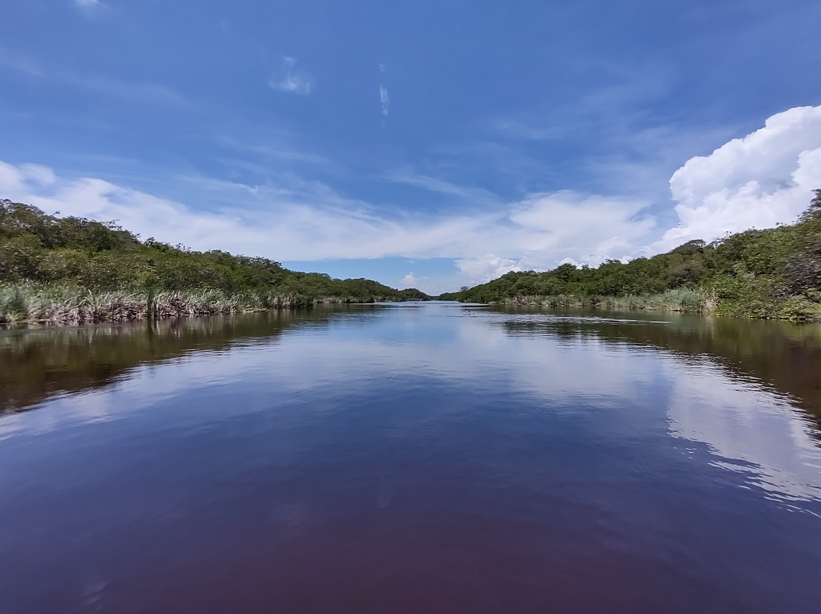 leetx-google-photo-49148-6 leetx-google-photo-49148-6