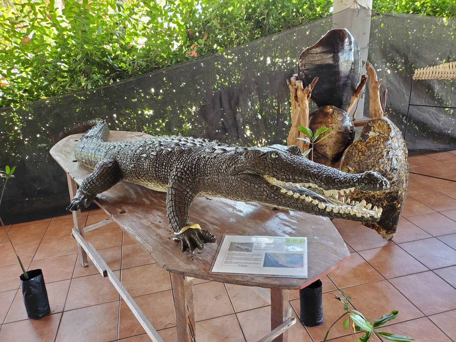 leetx-google-photo-49148-7 leetx-google-photo-49148-7