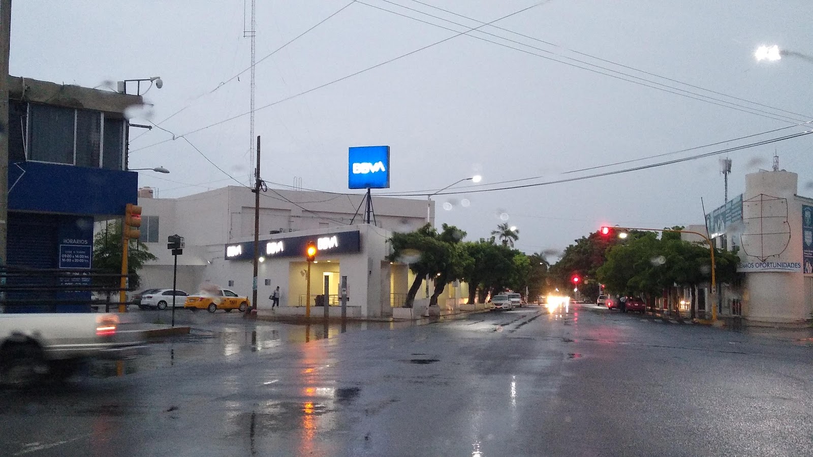 leetx-google-photo-49217-4 leetx-google-photo-49217-4