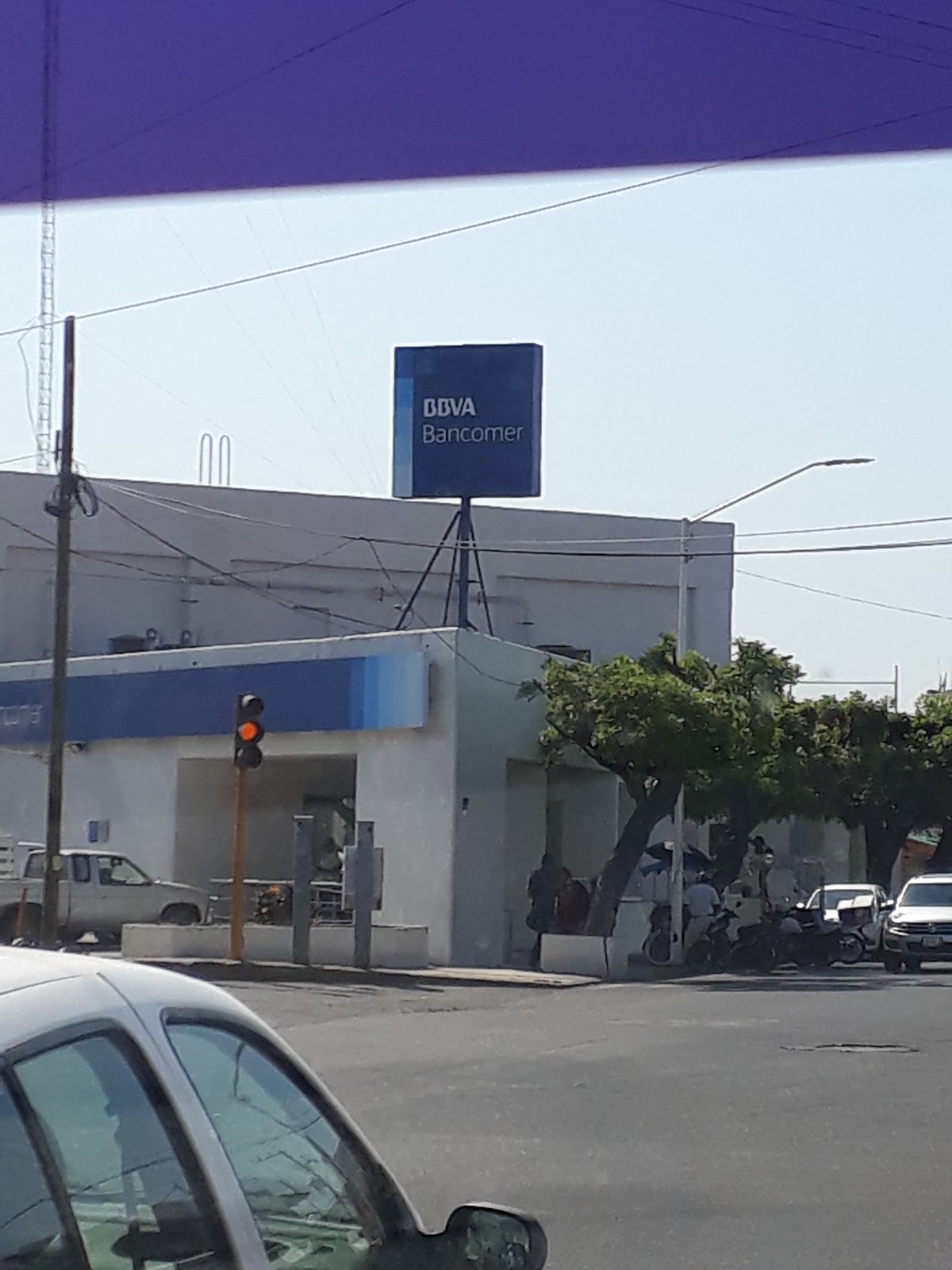 leetx-google-photo-49217-8 leetx-google-photo-49217-8