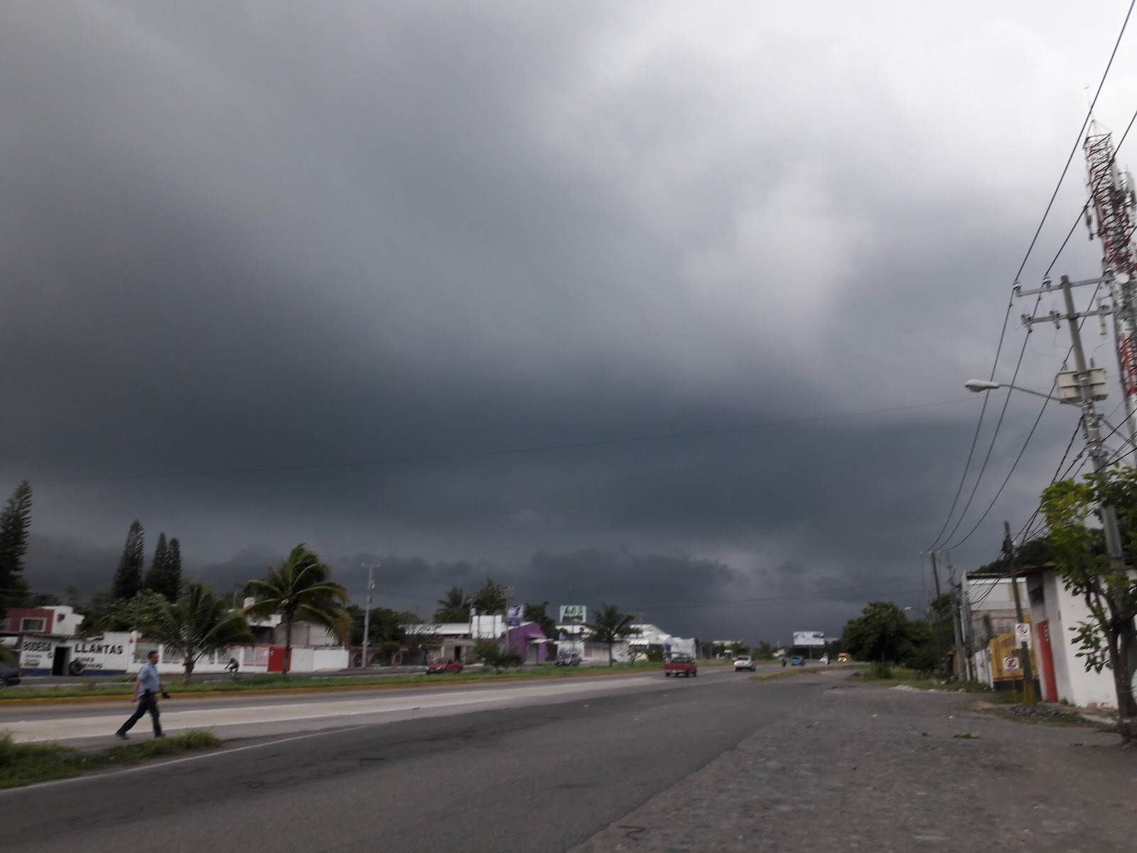 leetx-google-photo-49298-4 leetx-google-photo-49298-4