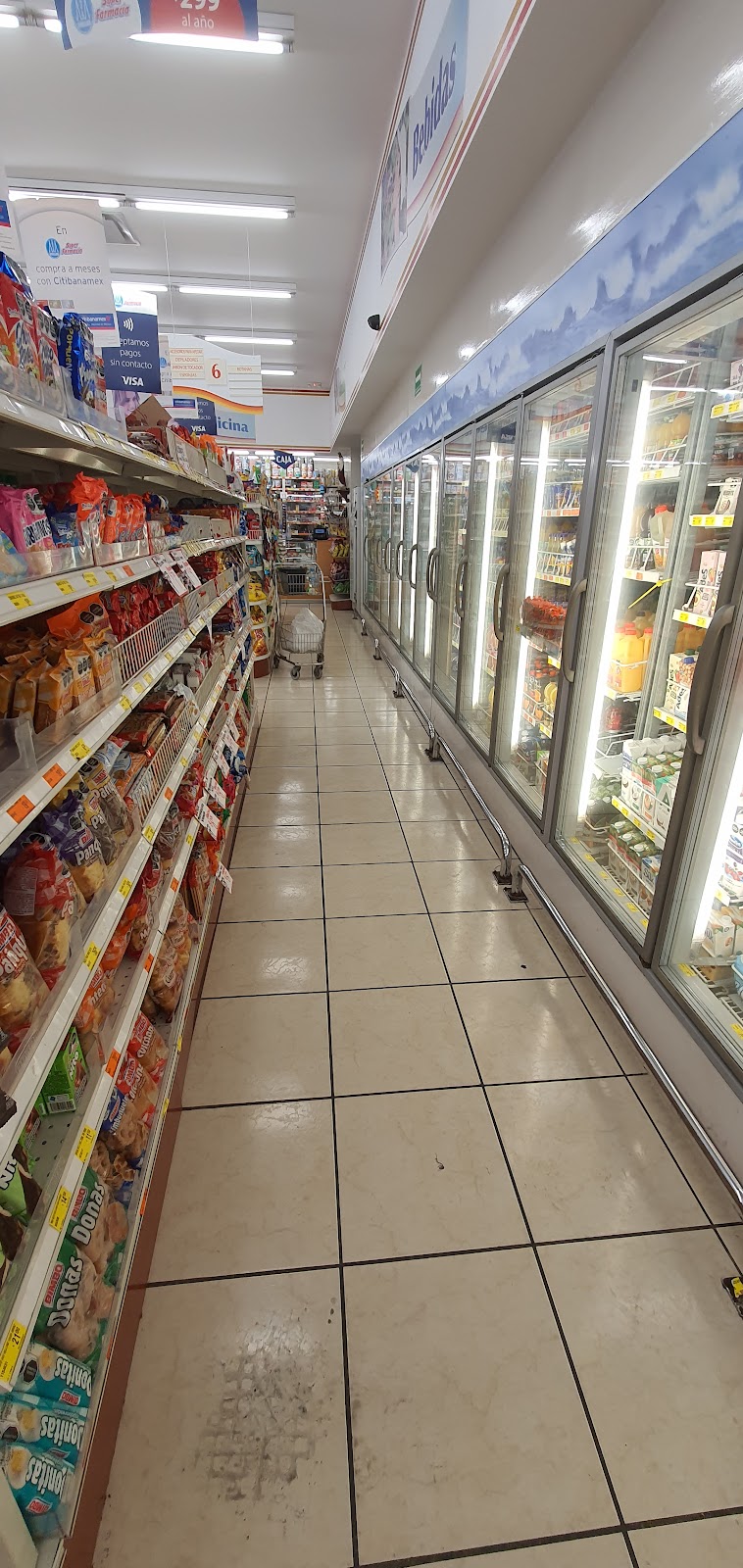 leetx-google-photo-49333-5 leetx-google-photo-49333-5