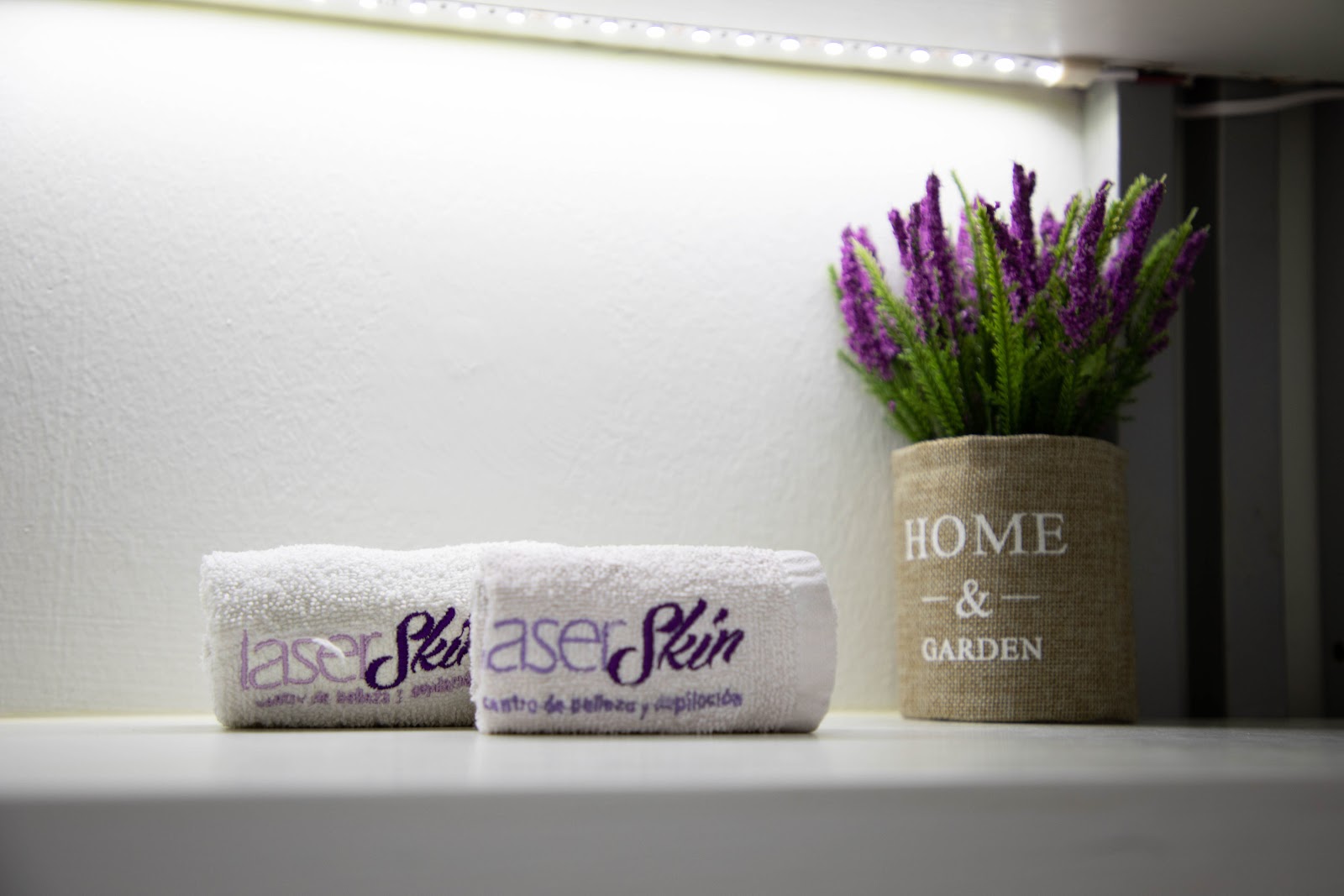 leetx-google-photo-49352-5 leetx-google-photo-49352-5