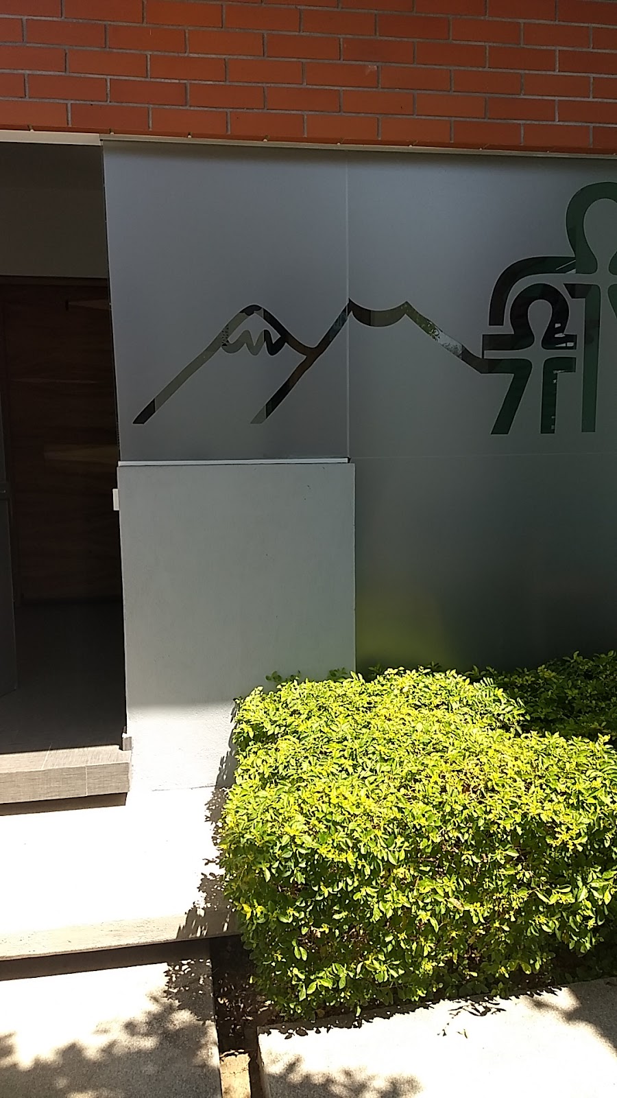 leetx-google-photo-49363-2 leetx-google-photo-49363-2