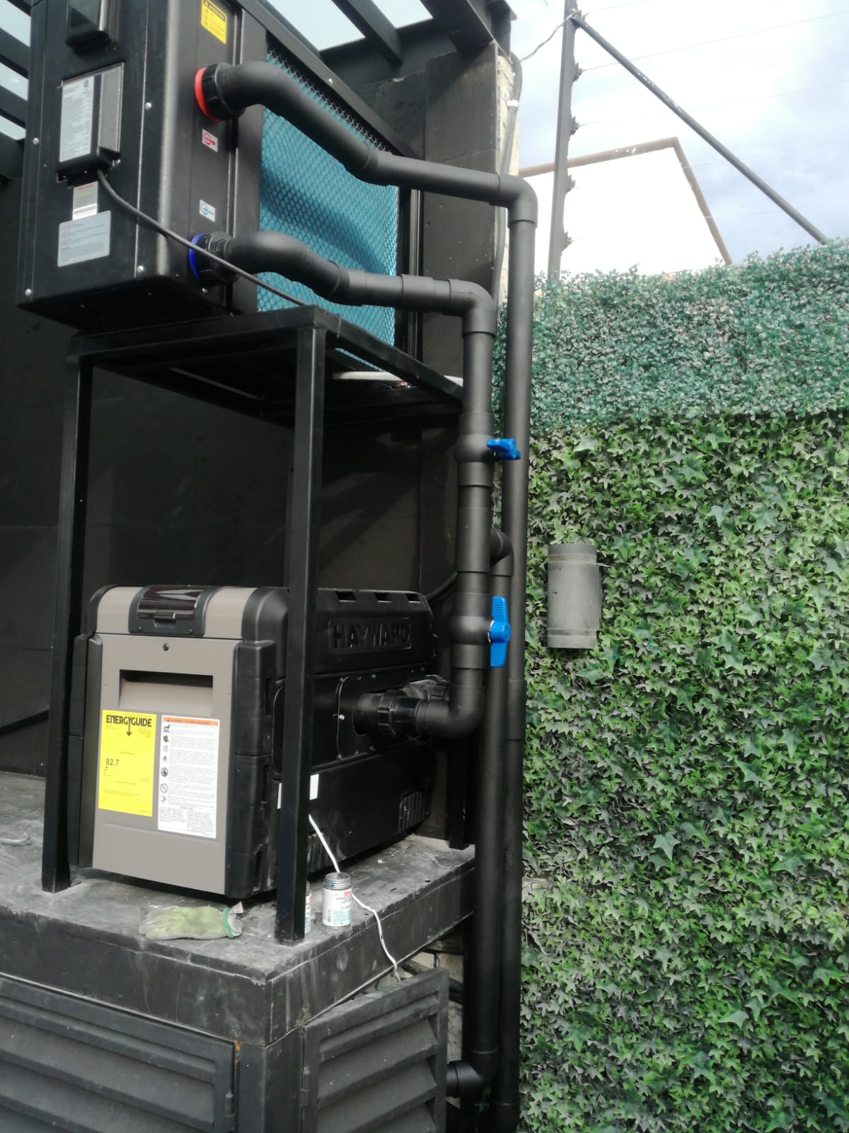 leetx-google-photo-49367-3 leetx-google-photo-49367-3