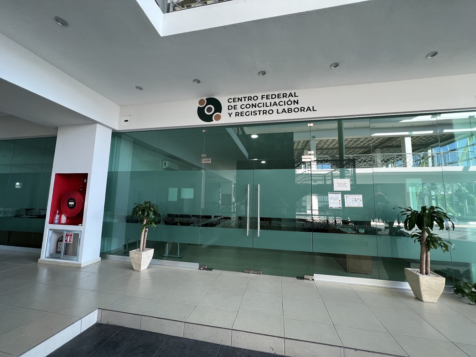 leetx-google-photo-49390-2 leetx-google-photo-49390-2