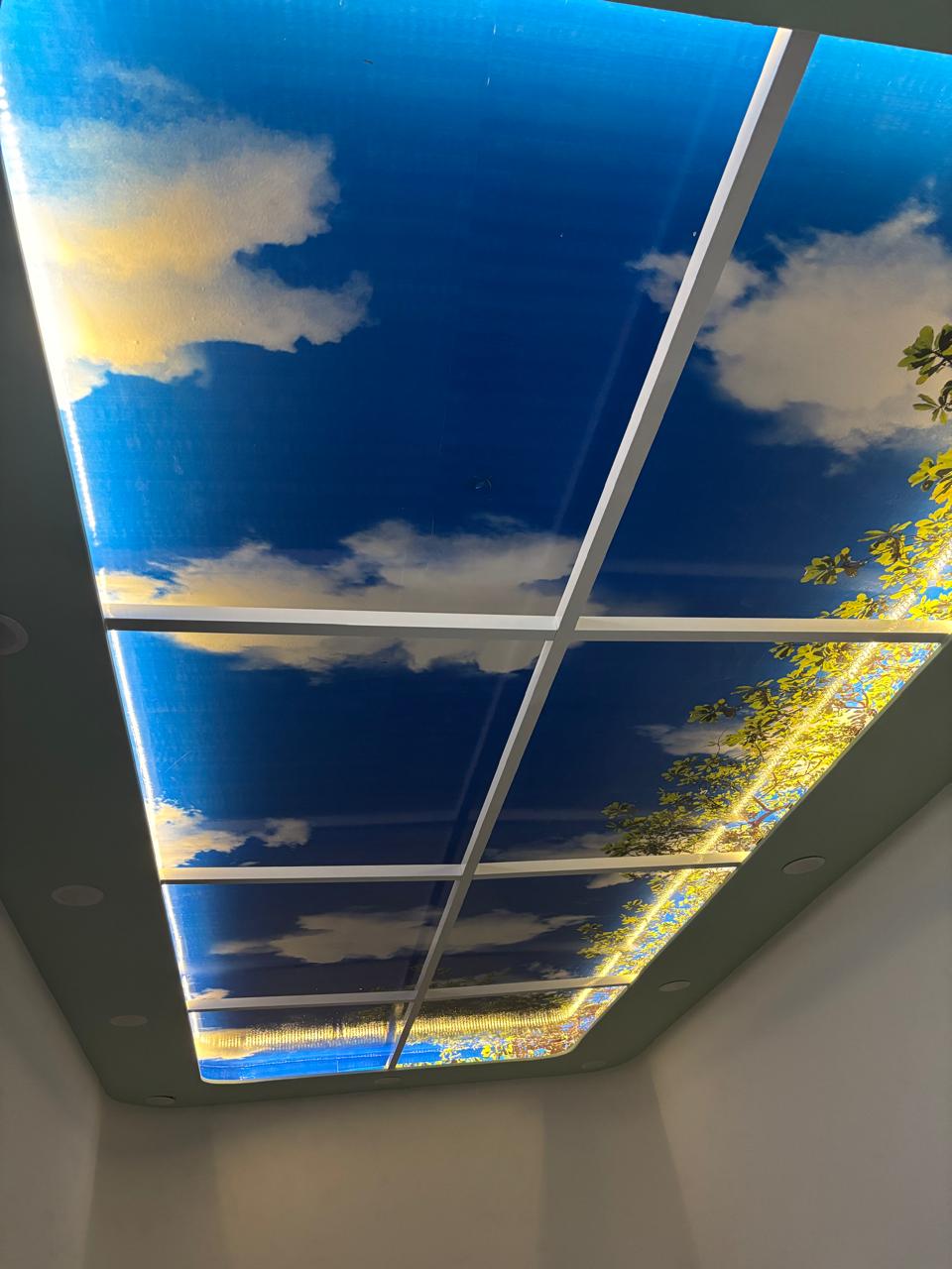 leetx-google-photo-49397-5 leetx-google-photo-49397-5