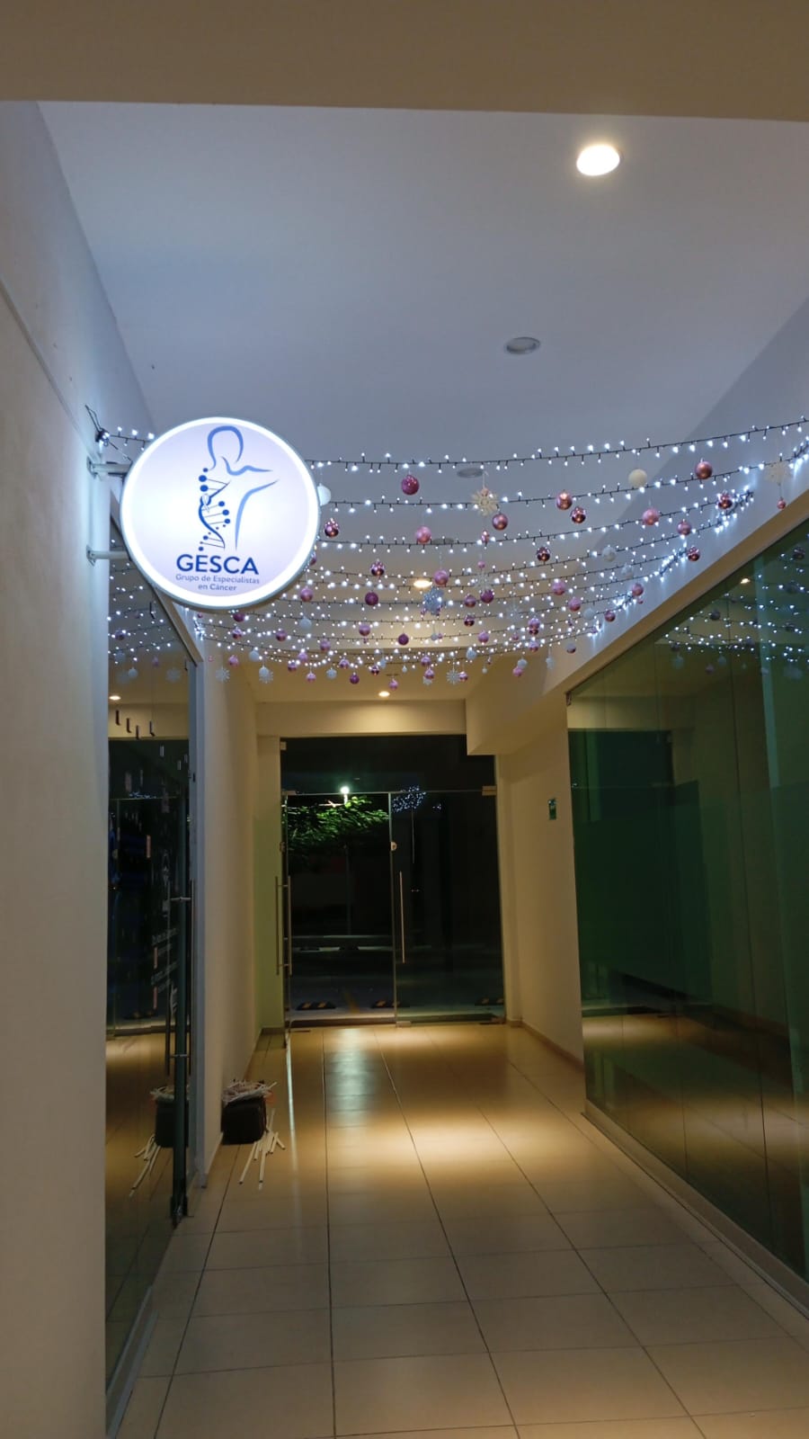 leetx-google-photo-49397-7 leetx-google-photo-49397-7