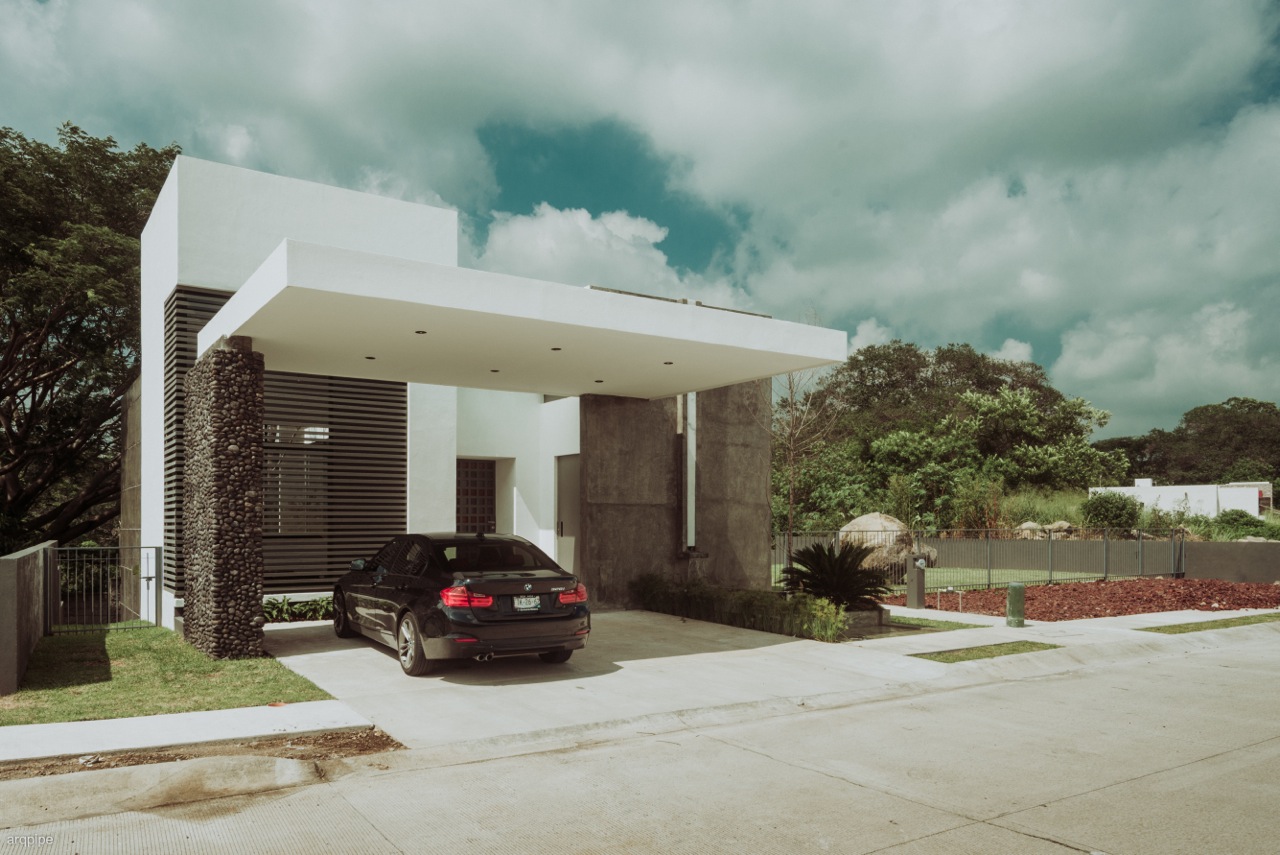 leetx-google-photo-49431-1