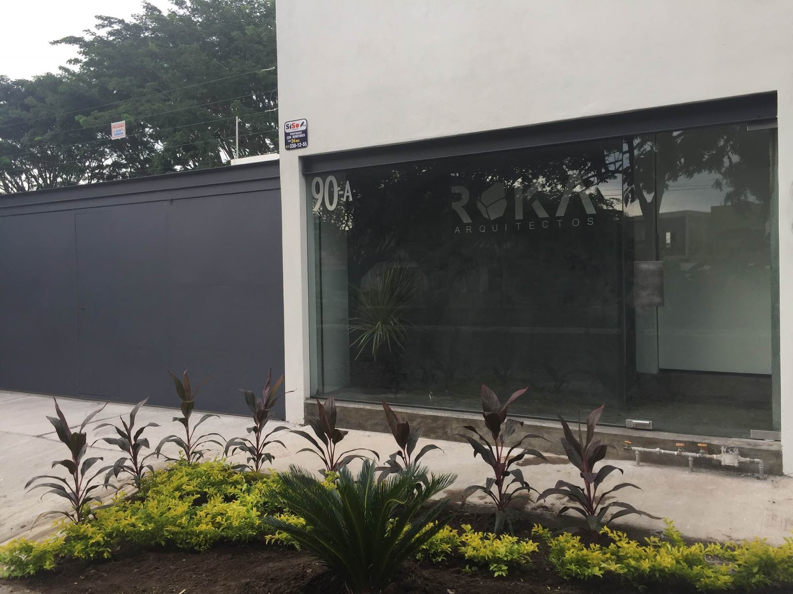 leetx-google-photo-49431-4 leetx-google-photo-49431-4