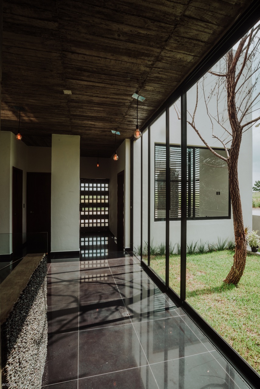 leetx-google-photo-49431-5 leetx-google-photo-49431-5