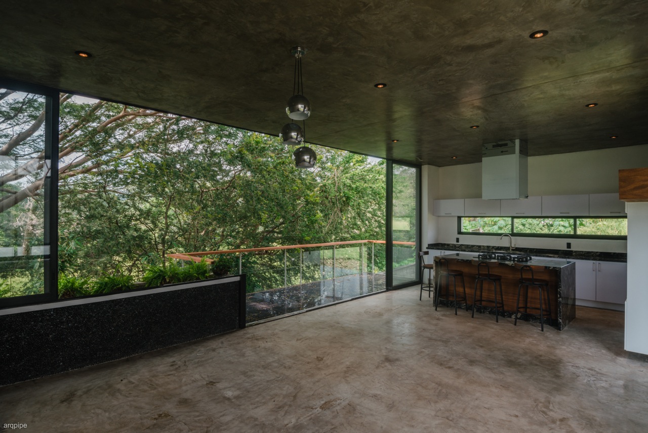 leetx-google-photo-49431-6 leetx-google-photo-49431-6