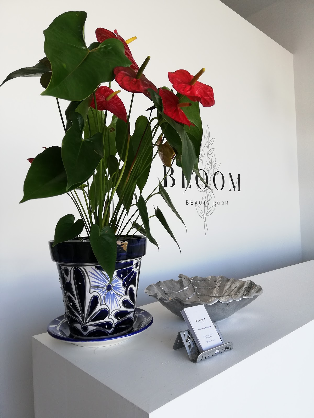 leetx-google-photo-49440-4 leetx-google-photo-49440-4