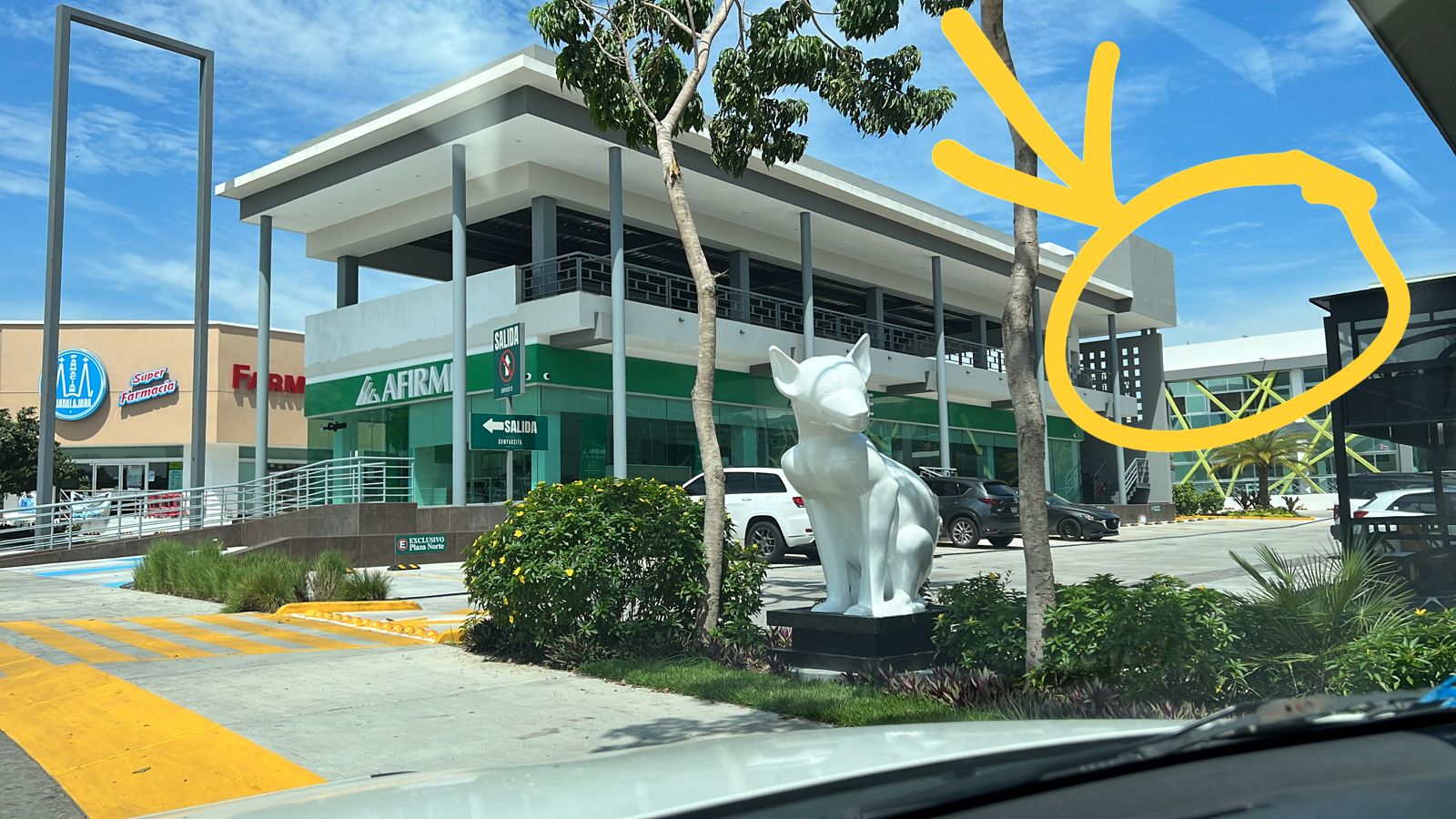 leetx-google-photo-49452-1