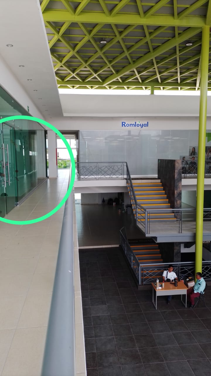 leetx-google-photo-49452-3 leetx-google-photo-49452-3