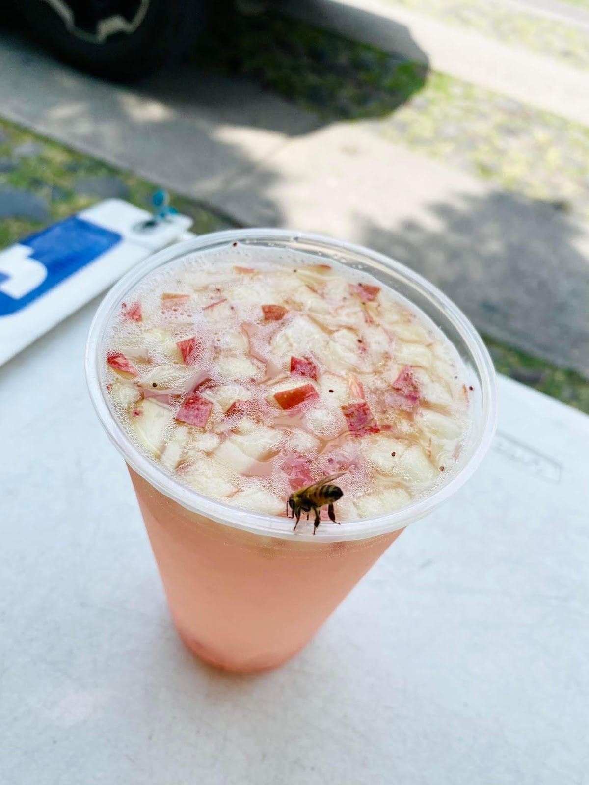 leetx-google-photo-49461-2 leetx-google-photo-49461-2