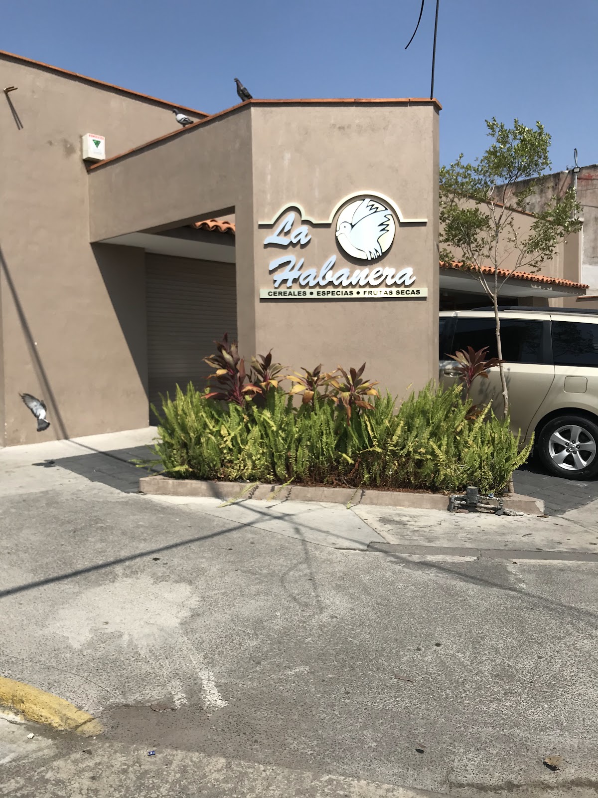 leetx-google-photo-49488-3 leetx-google-photo-49488-3