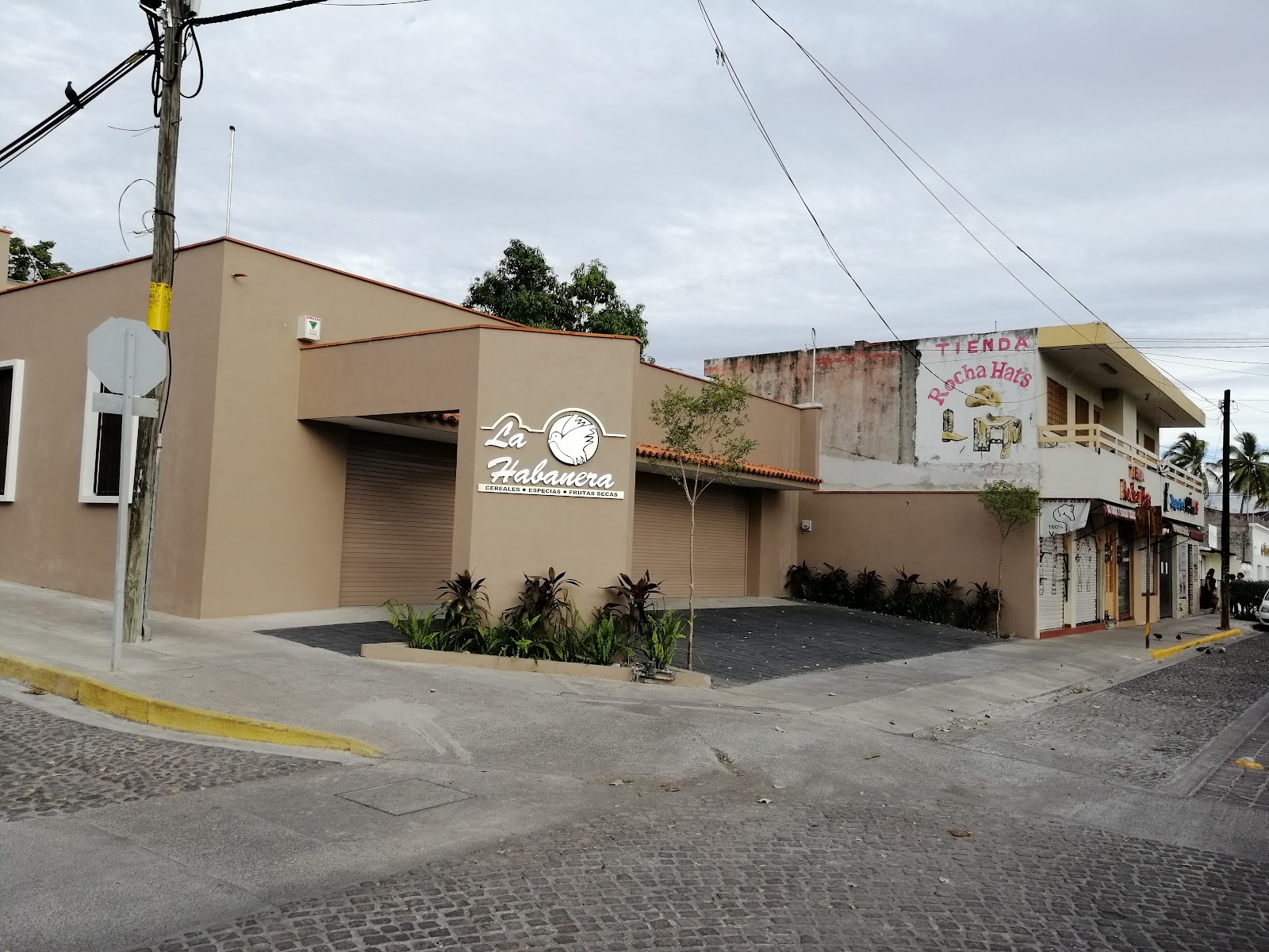 leetx-google-photo-49488-5 leetx-google-photo-49488-5