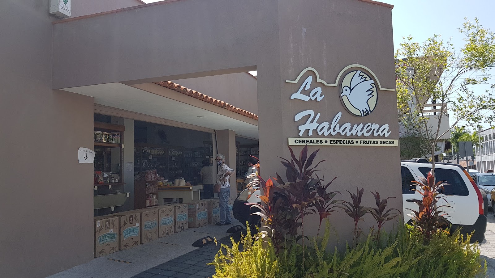 leetx-google-photo-49488-6 leetx-google-photo-49488-6