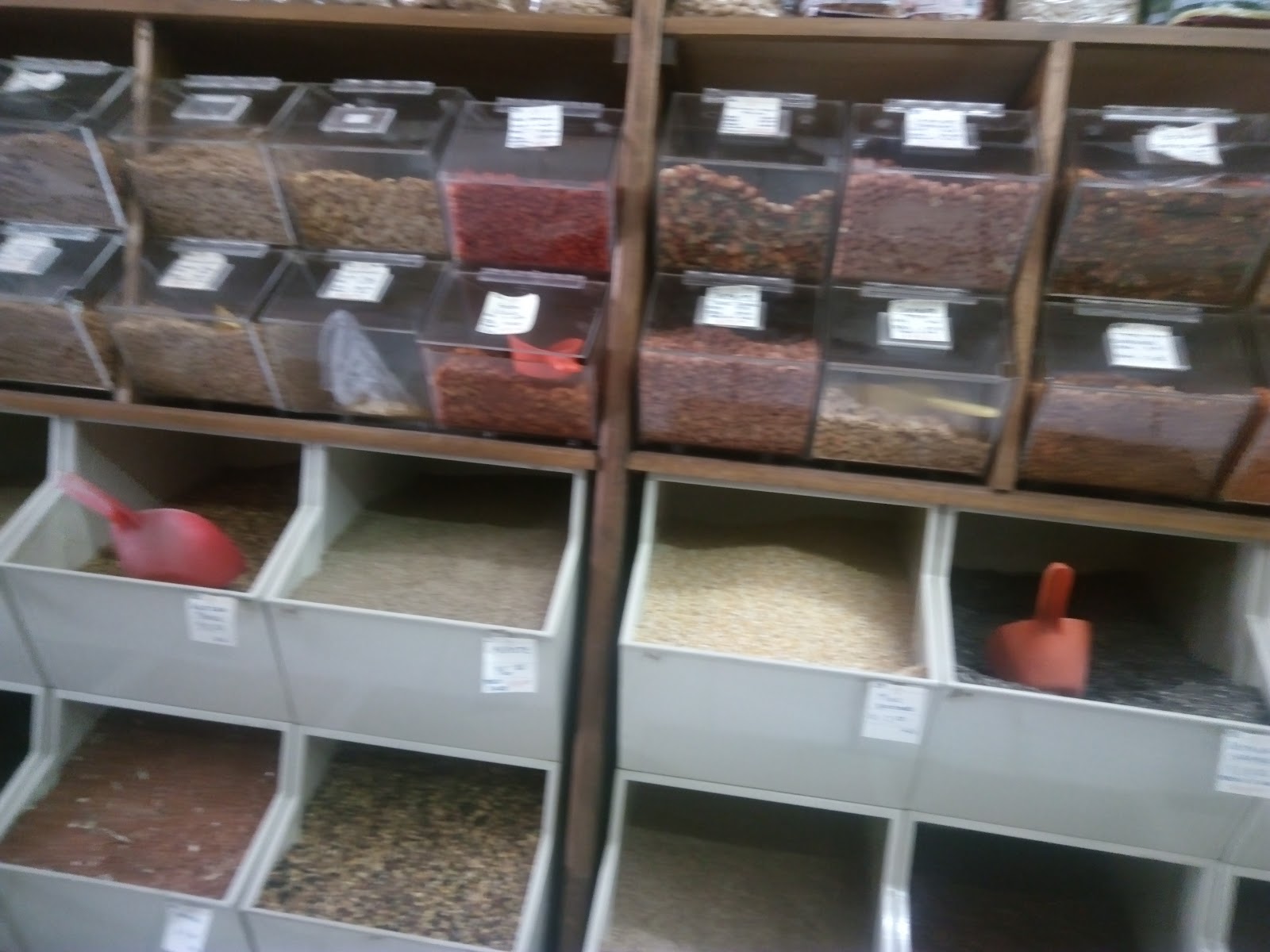 leetx-google-photo-49488-7 leetx-google-photo-49488-7