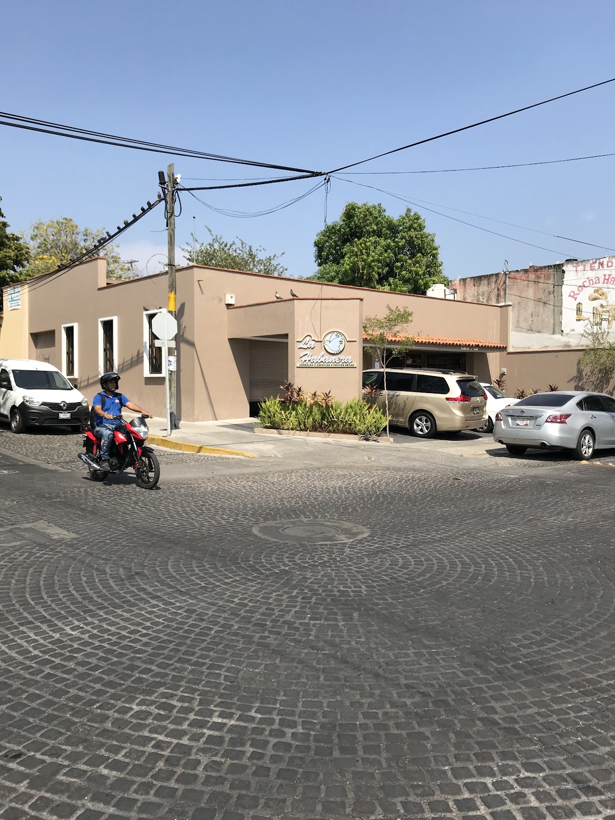 leetx-google-photo-49488-8 leetx-google-photo-49488-8