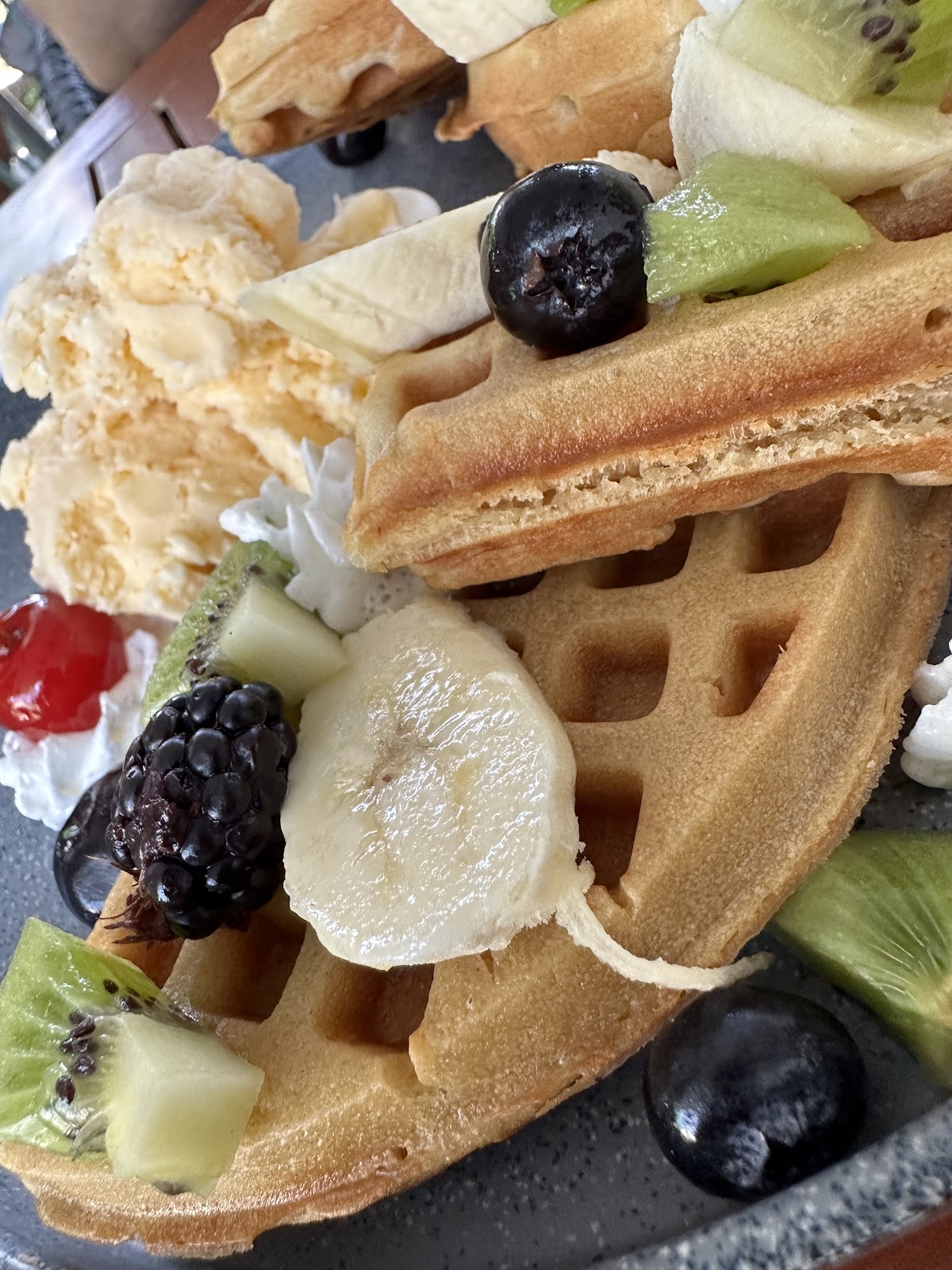 leetx-google-photo-49514-3 leetx-google-photo-49514-3