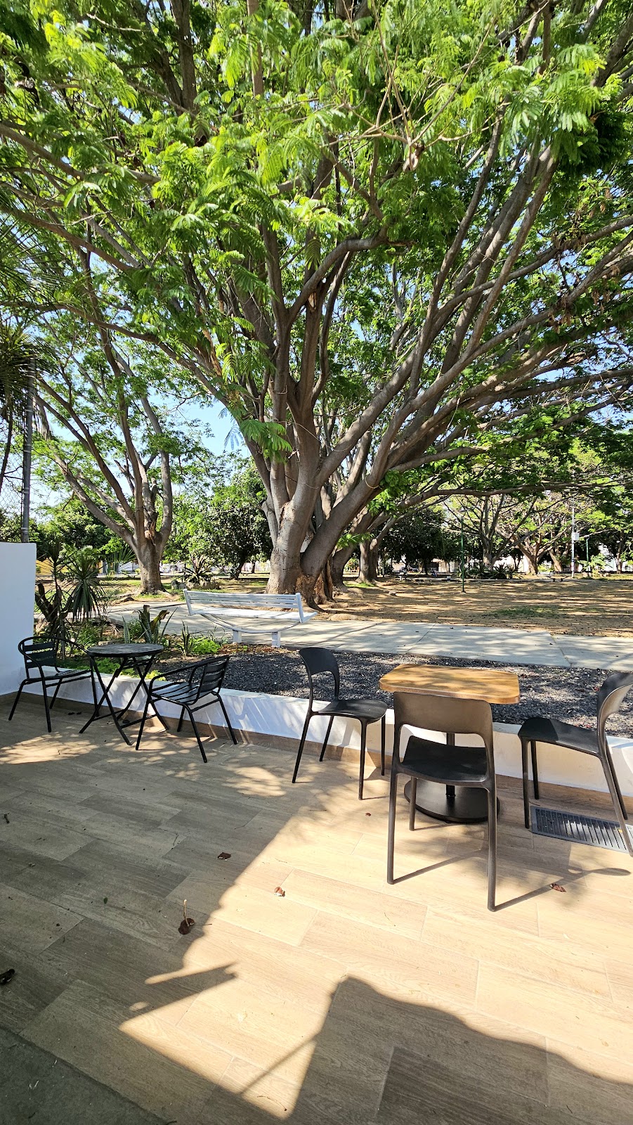 leetx-google-photo-49666-1