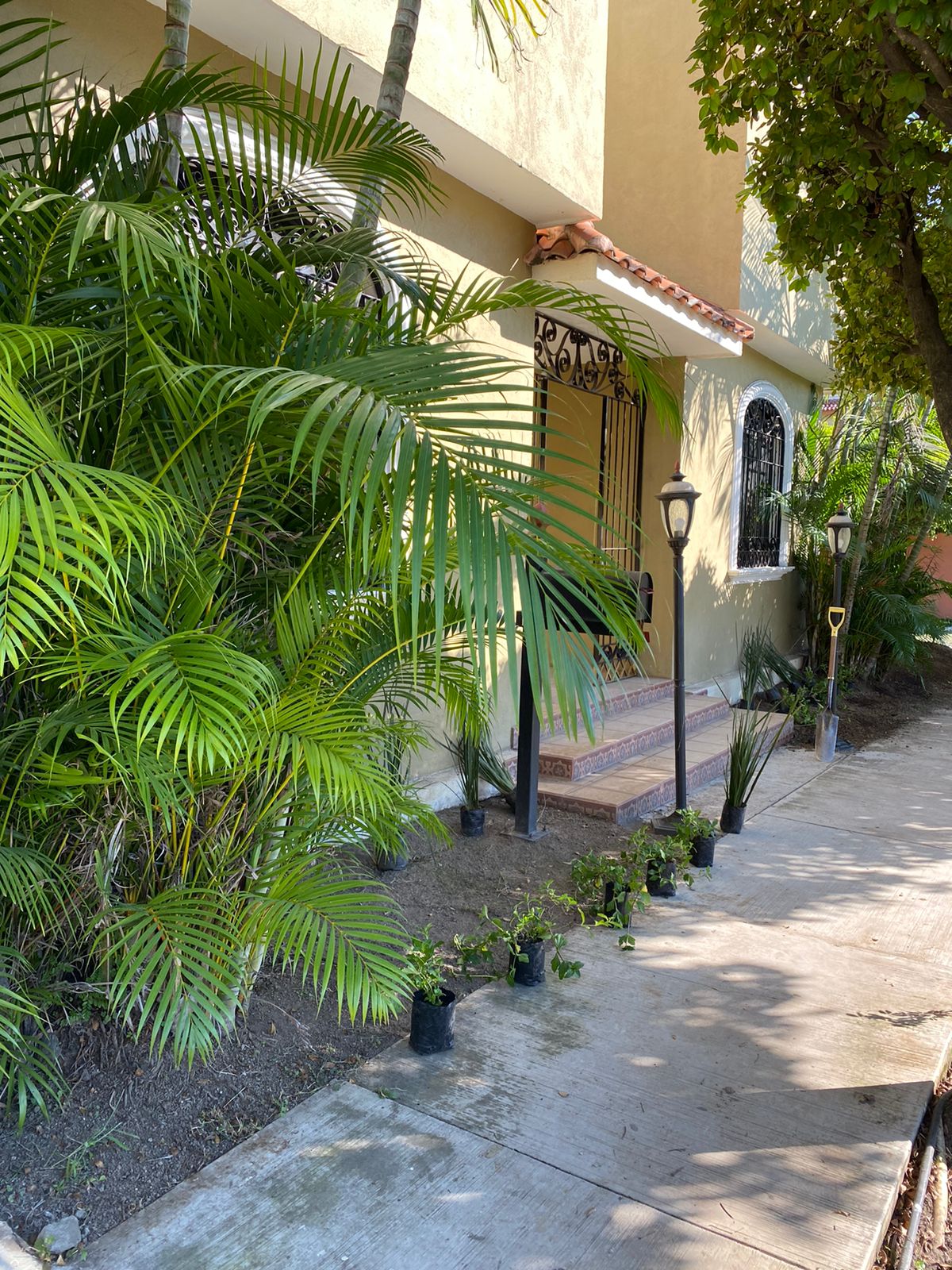 leetx-google-photo-49717-7 leetx-google-photo-49717-7