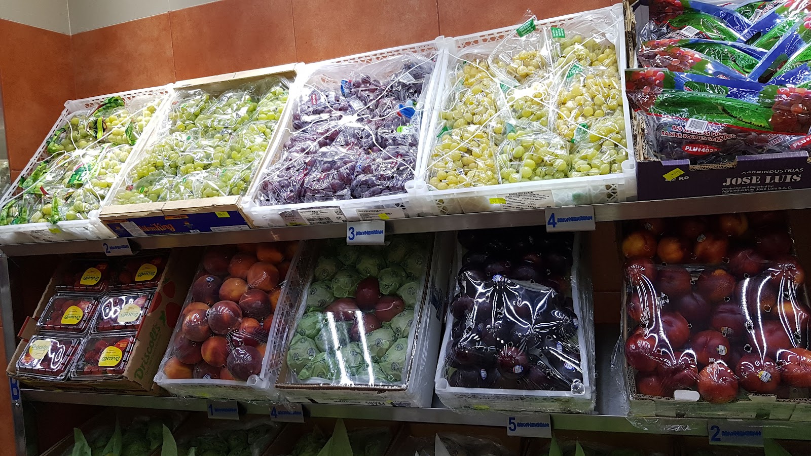 leetx-google-photo-49757-2 leetx-google-photo-49757-2