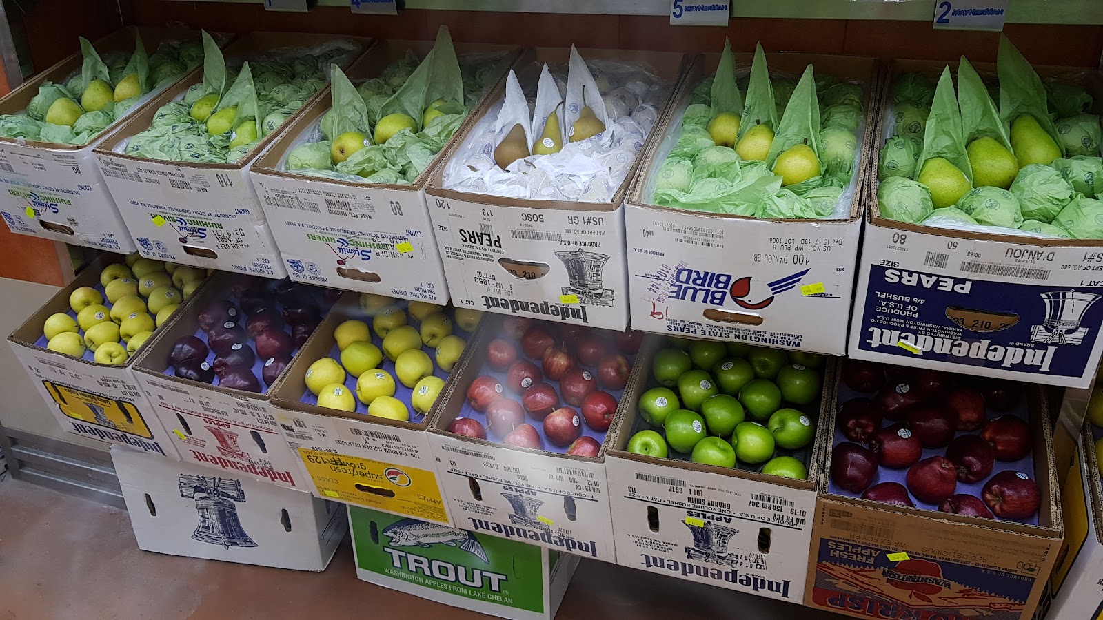 leetx-google-photo-49757-3 leetx-google-photo-49757-3