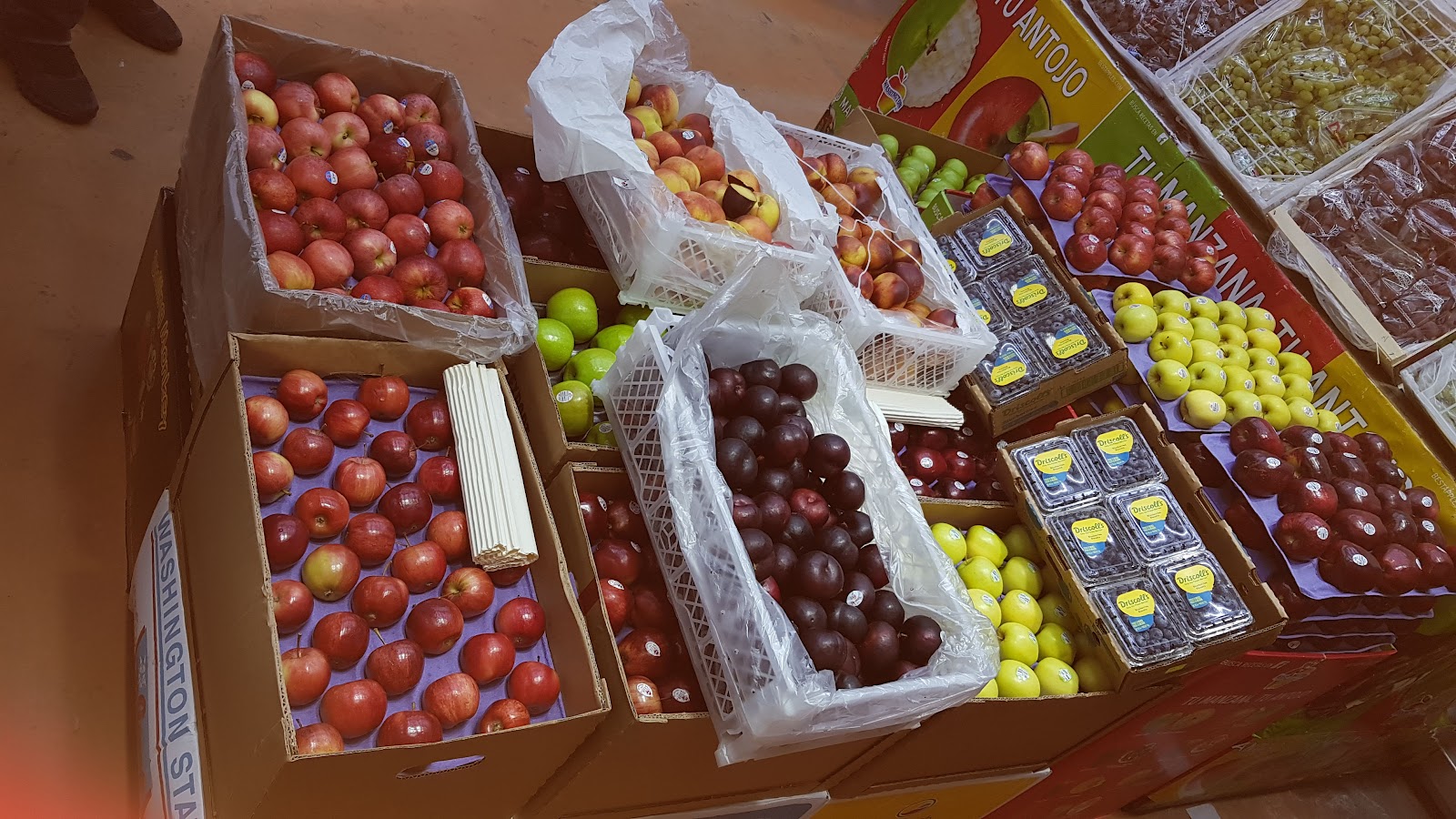 leetx-google-photo-49757-4 leetx-google-photo-49757-4