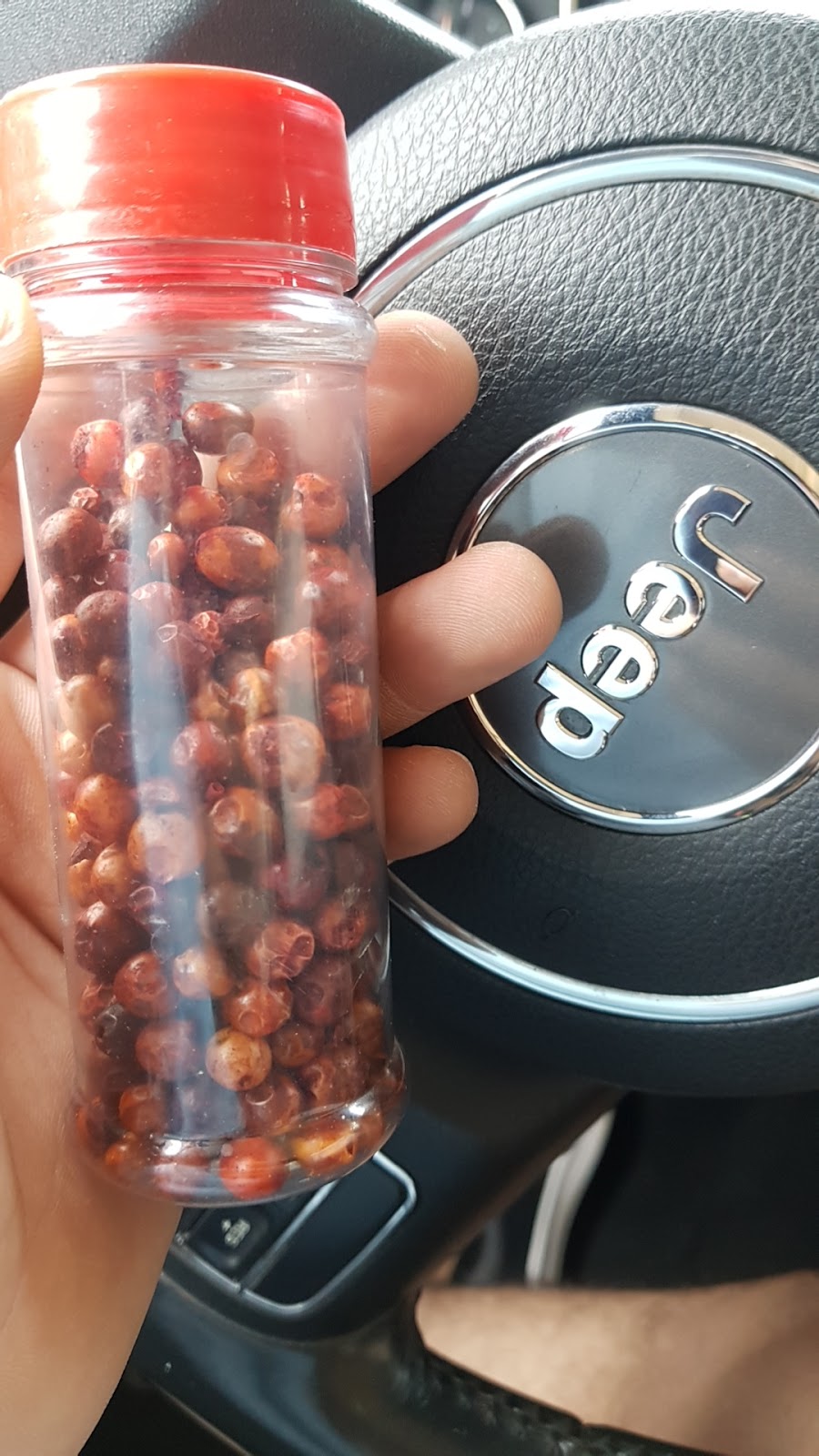 leetx-google-photo-49757-6 leetx-google-photo-49757-6