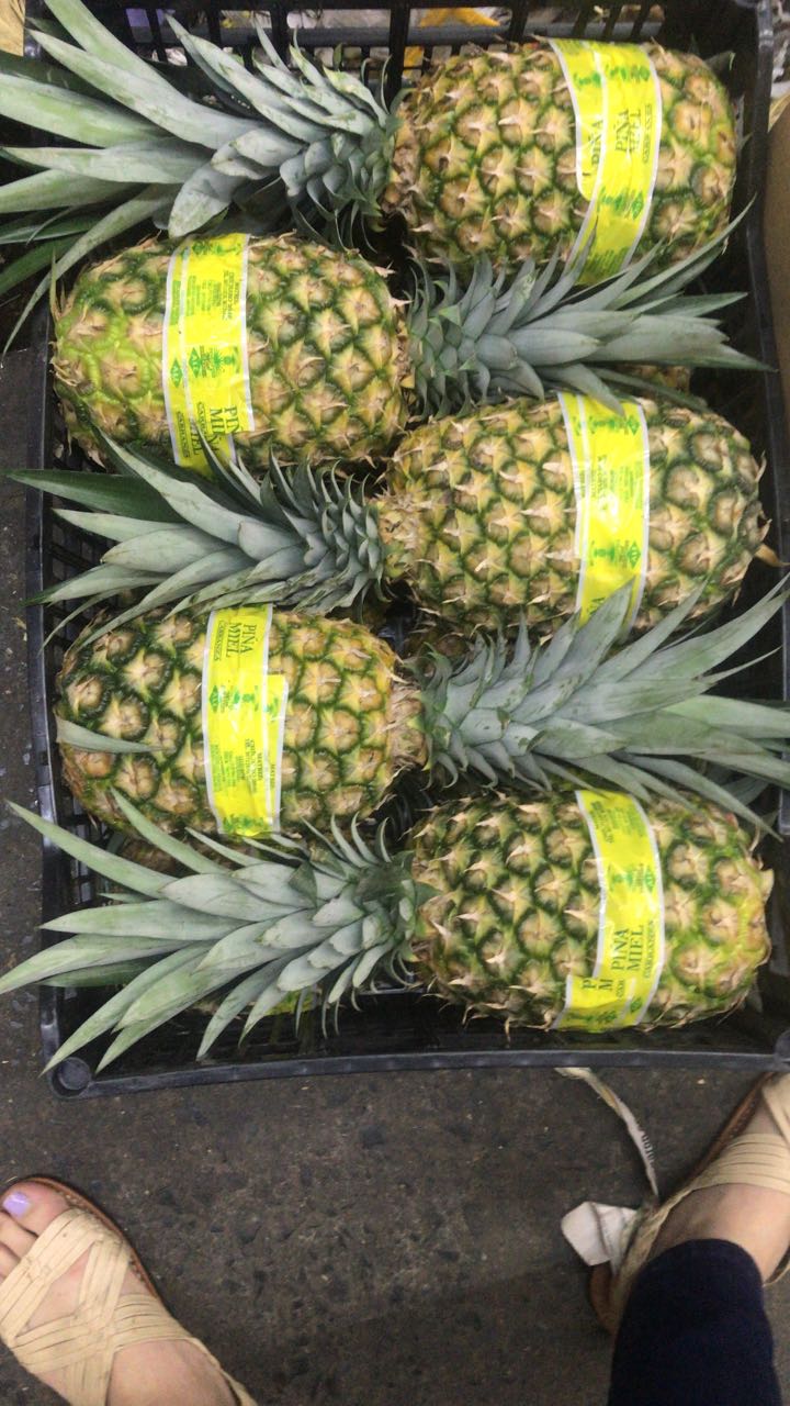 leetx-google-photo-49757-8 leetx-google-photo-49757-8