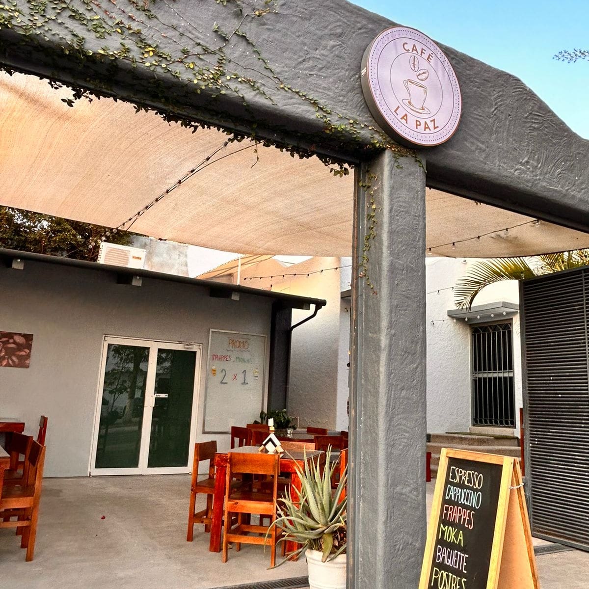 leetx-google-photo-49766-1