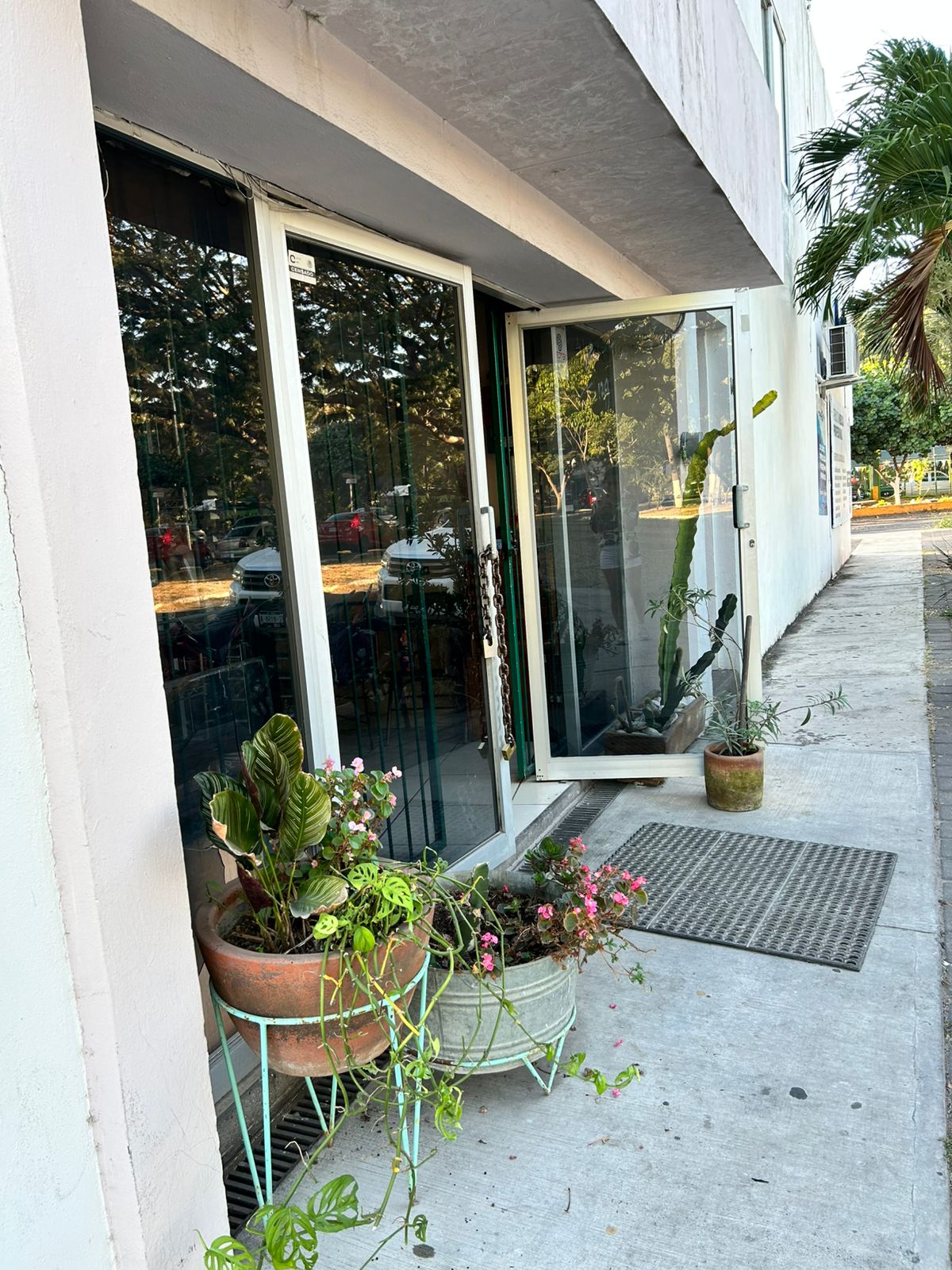 leetx-google-photo-49775-1