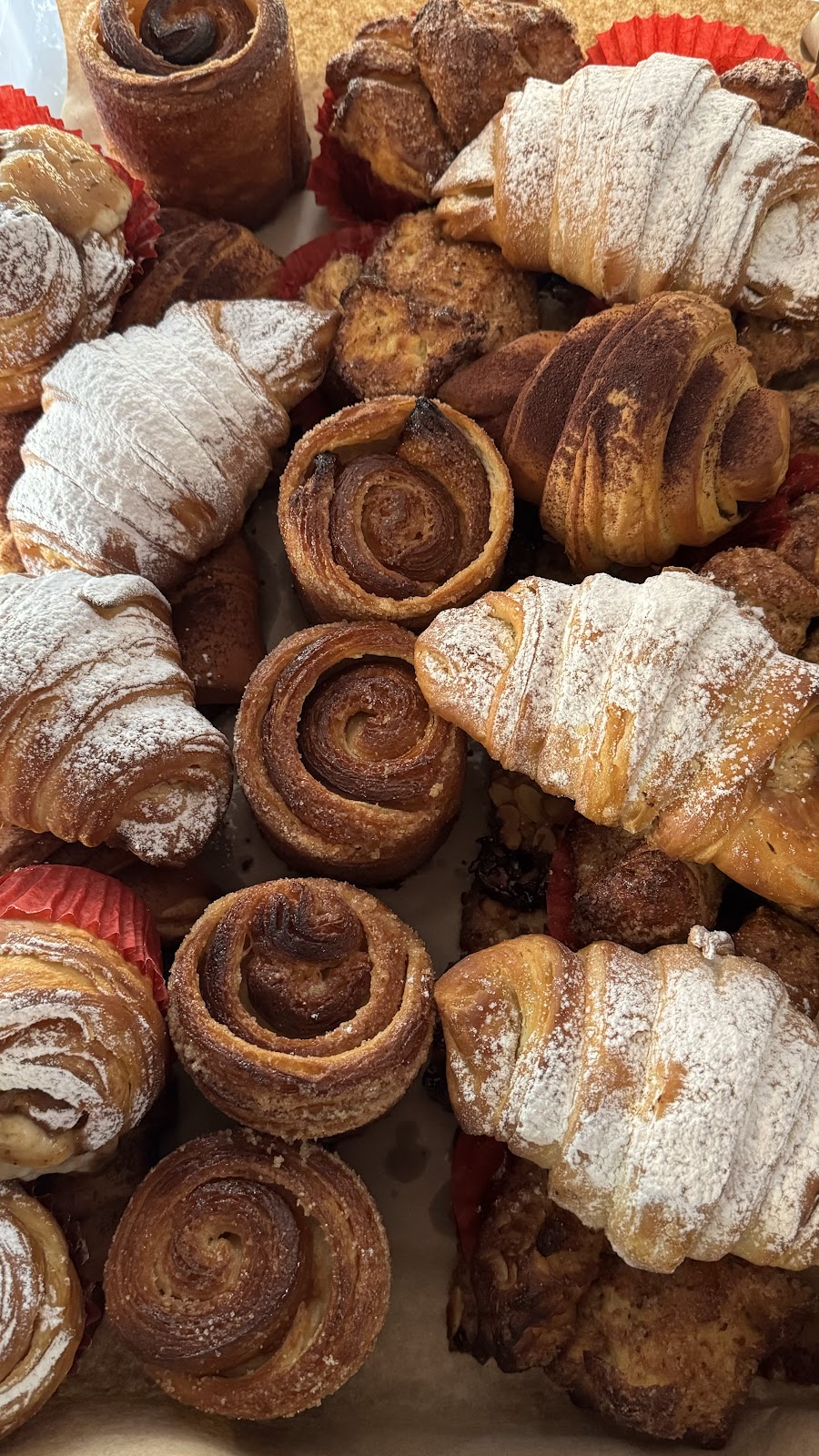 leetx-google-photo-49775-4 leetx-google-photo-49775-4